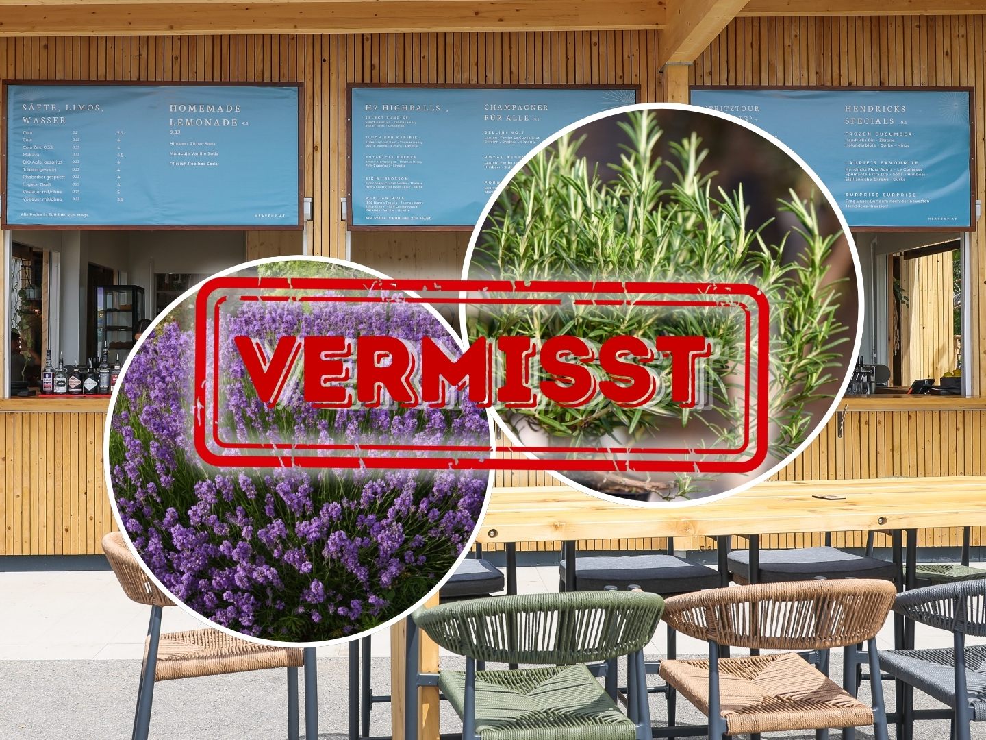 Rosmarin "Olaf" und Lavendel "Valentina" wurden entnommen.