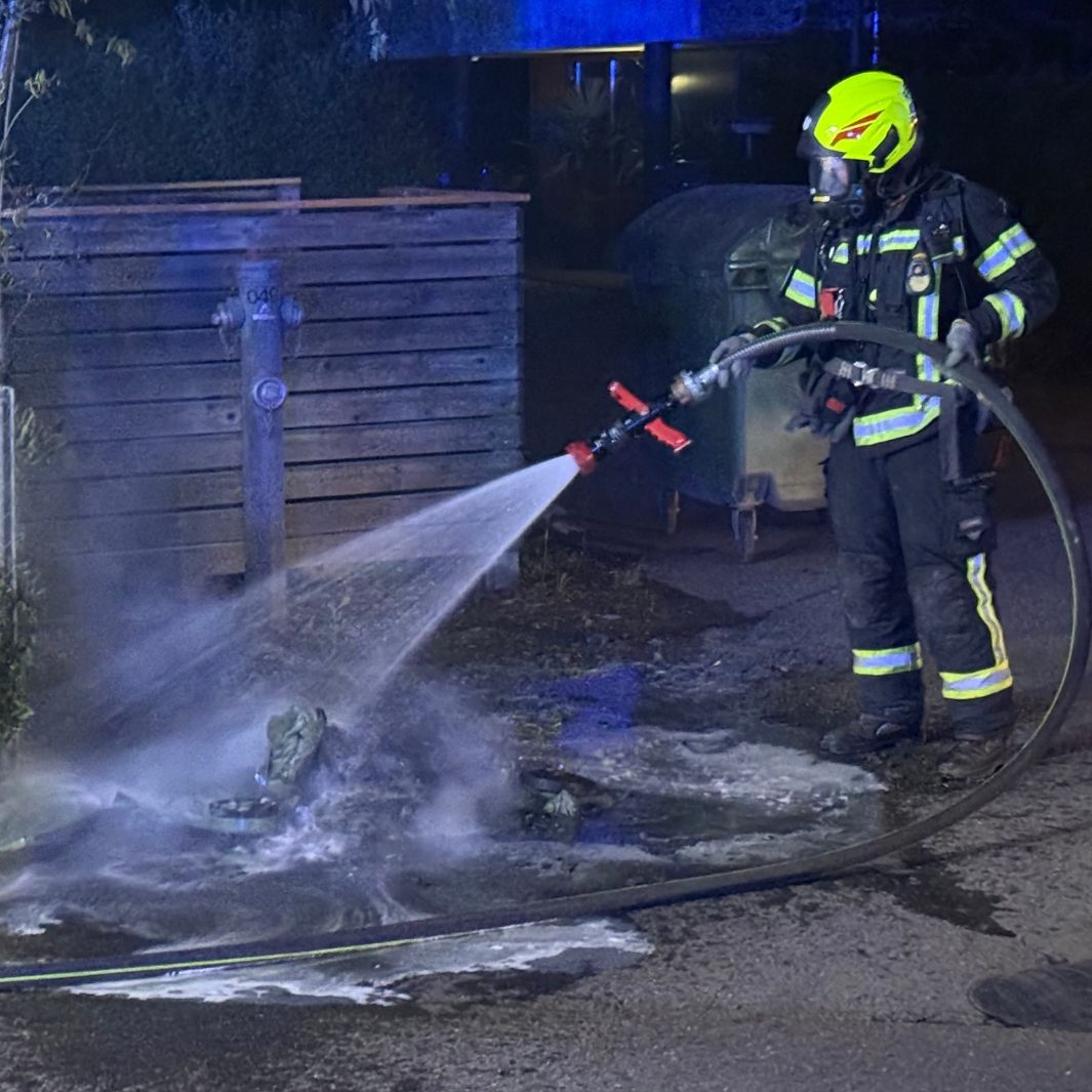 Brand mehrerer Mülleimer in der Nacht von Samstag auf Sonntag.