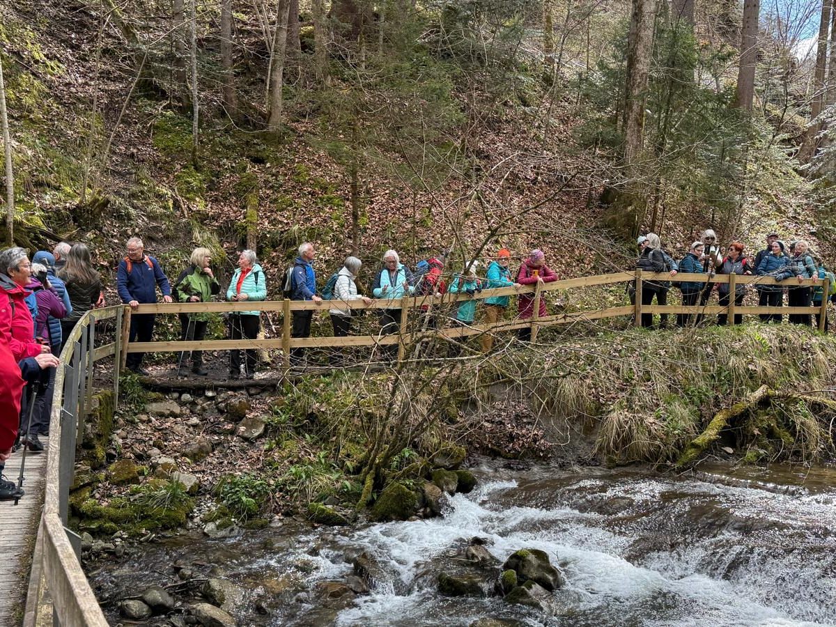 Wanderung an die Brühlbach Wasserfälle