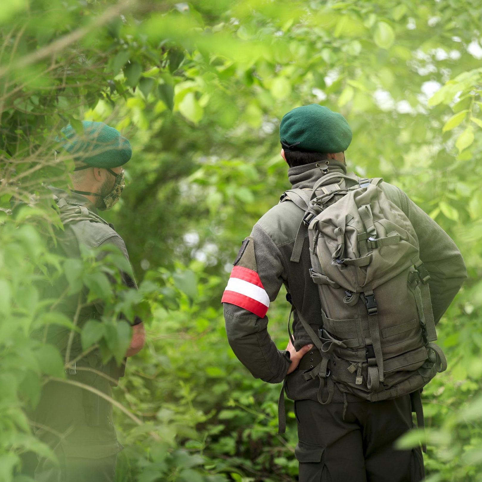 Wegen der Maul- und Klauenseuche will das Burgenland einen Assistenzeinsatz an der Grenze.