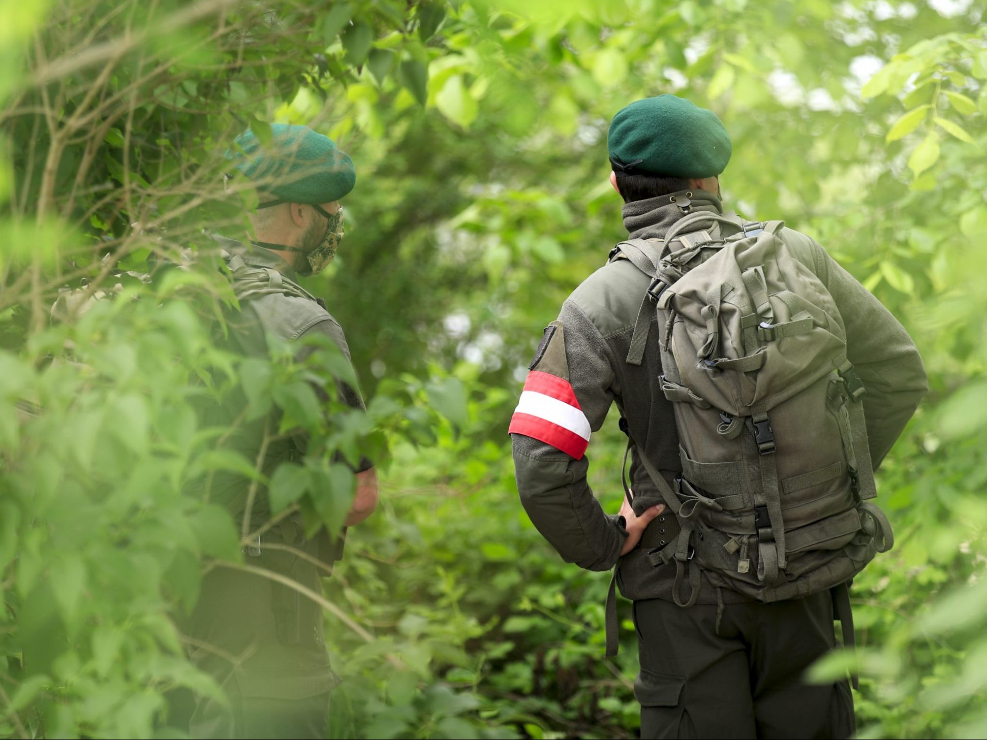 Wegen der Maul- und Klauenseuche will das Burgenland einen Assistenzeinsatz an der Grenze. Wegen der Maul- und Klauenseuche will das Burgenland einen Assistenzeinsatz an der Grenze.