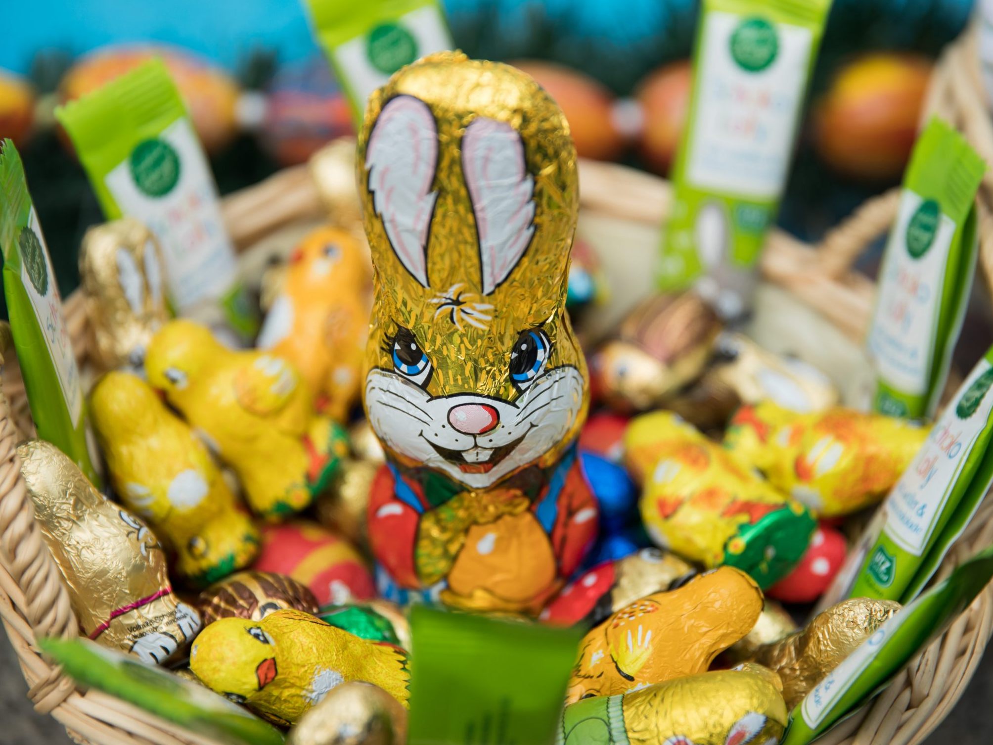 Die Kakao-Krise in Westafrika lässt Schoko-Hasen schrumpfen. Die Kakao-Krise in Westafrika lässt Schoko-Hasen schrumpfen.