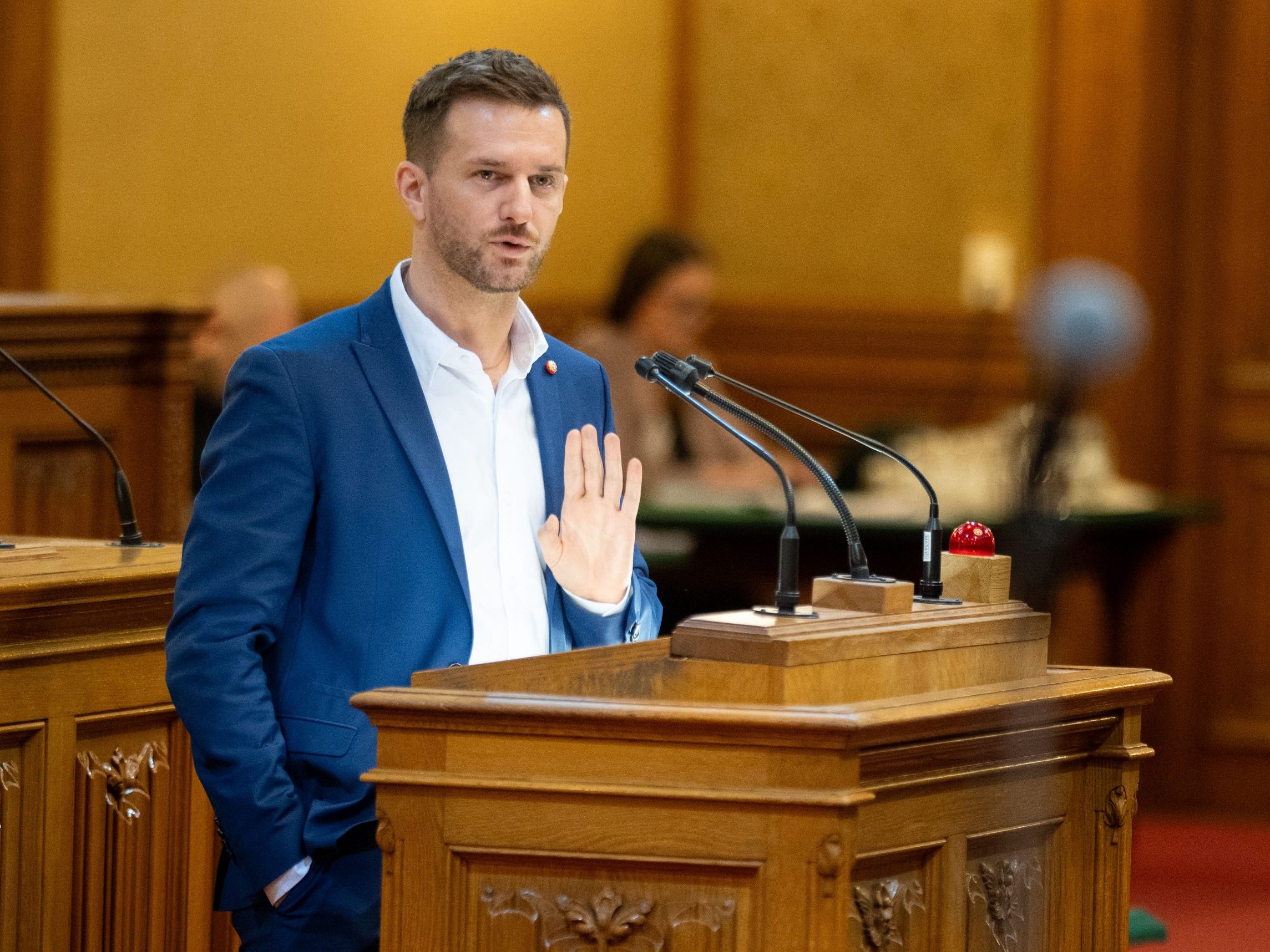 Kritik kam von Wiener Grünen (im Bild: Kraus).