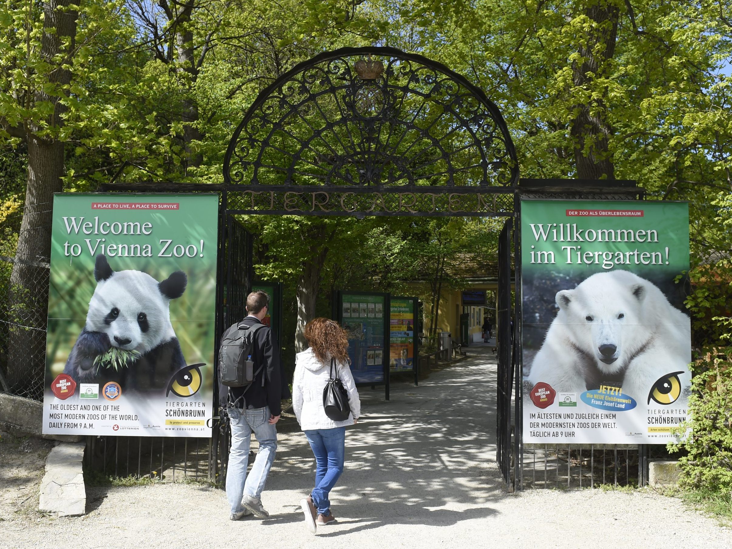 Der Tiergarten Schönbrunn spart mit Fernwärme 800 Tonnen CO2 pro Jahr.
