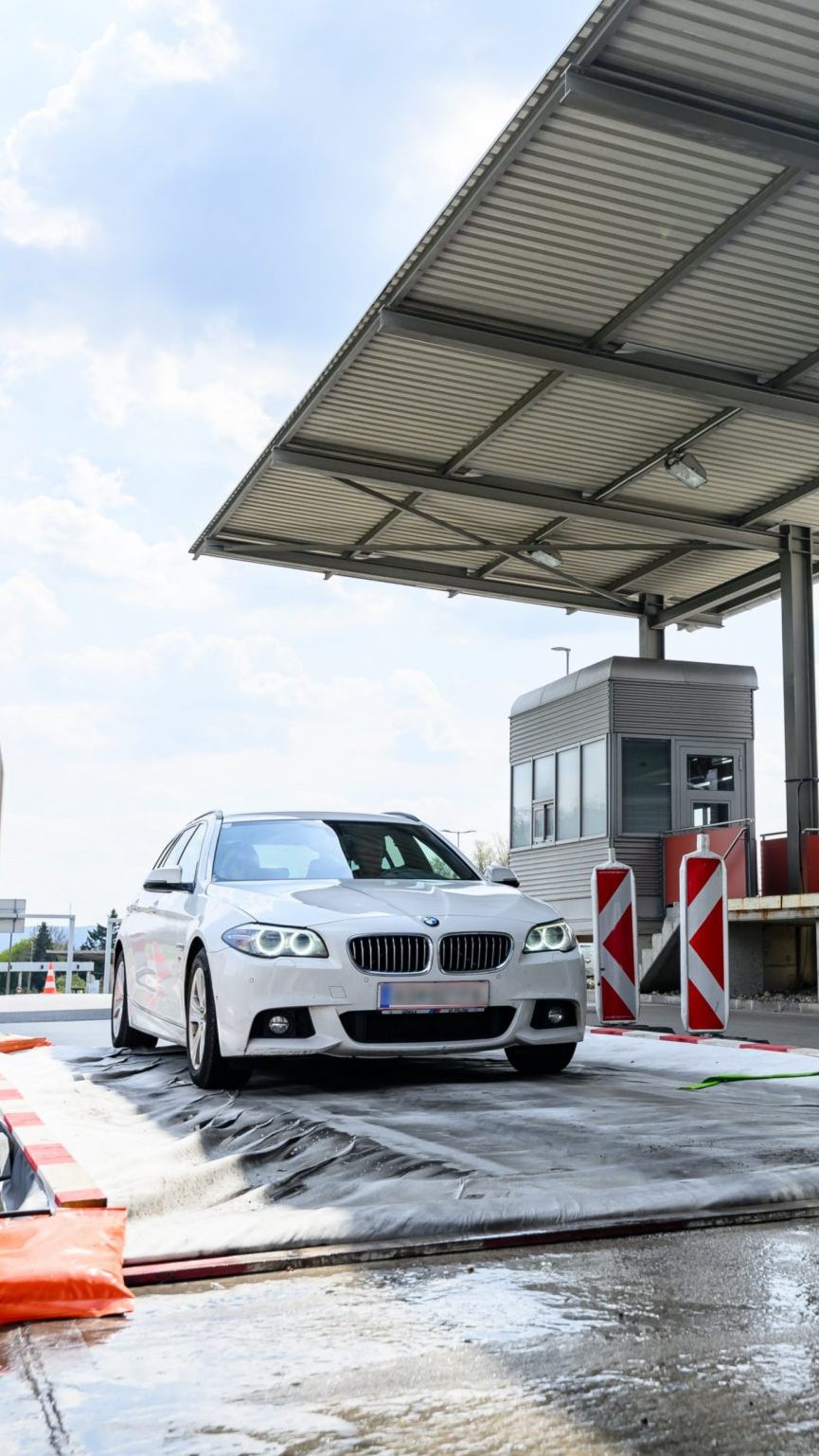 Eine Wissenschafterin plädiert für die Fortsetzung der Maßnahmen gegen die MKS.