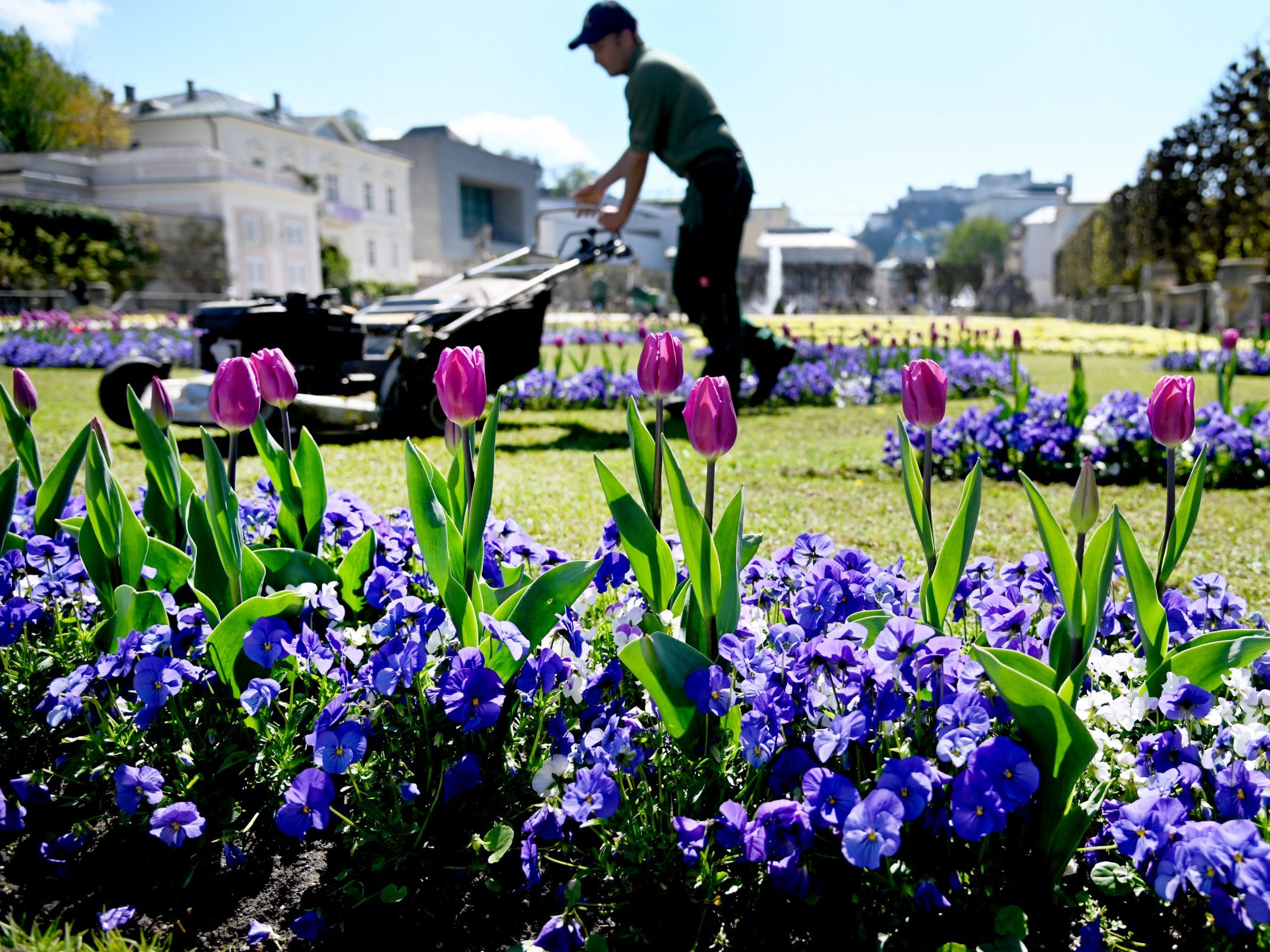 Bis zum Ende der Woche startet der Frühling wieder durch. Bis zum Ende der Woche startet der Frühling wieder durch.