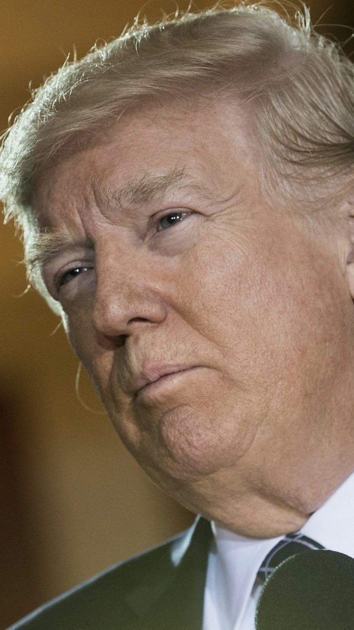 Machtverlust für Musk: Trump will ihn zurück bei Tesla und SpaceX