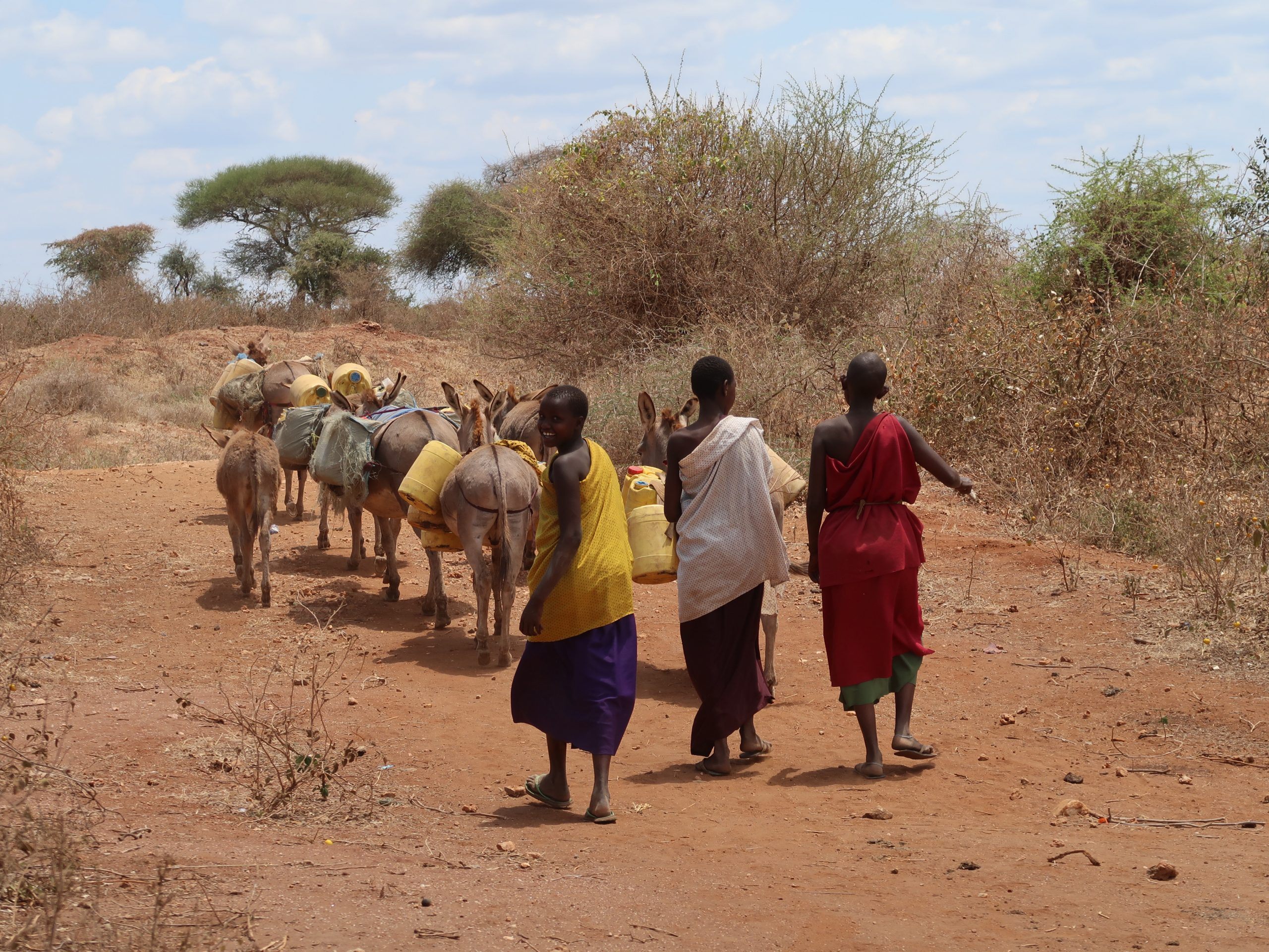 Die Maasai sind ein halbnomadisches Volk, dass im Einklang mit der Natur lebt. Doch immer öfter werden sie im Namen des Naturschutzes von ihrem Land verdrängt.