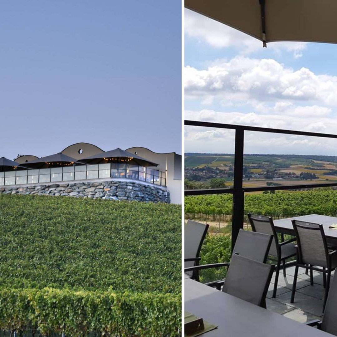 Ein Weinviertler Weingut samt Buschenschank wird versteigert.