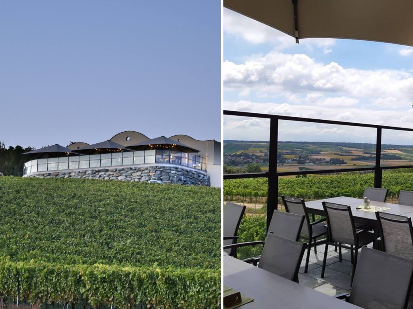 Ein Weinviertler Weingut samt Buschenschank wird versteigert. Ein Weinviertler Weingut samt Buschenschank wird versteigert.
