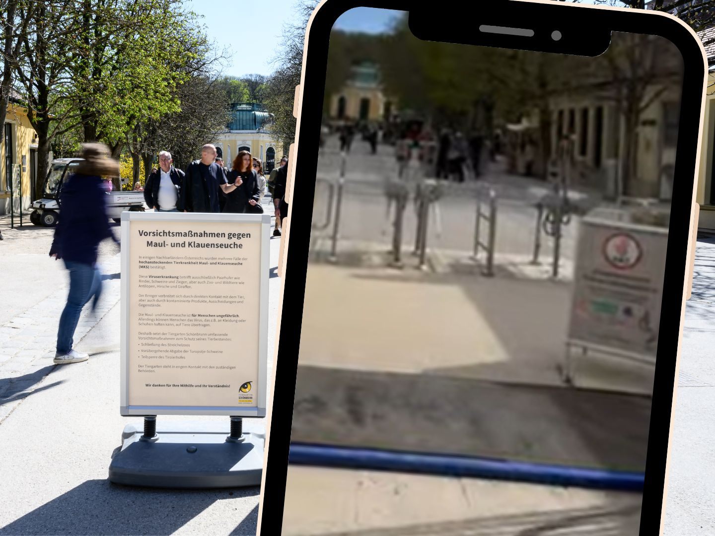 Zoobesucher werden gebeten, zum Schutz der Tiere über die Desinfektionsmatten zu gehen. Zoobesucher werden gebeten, zum Schutz der Tiere über die Desinfektionsmatten zu gehen.