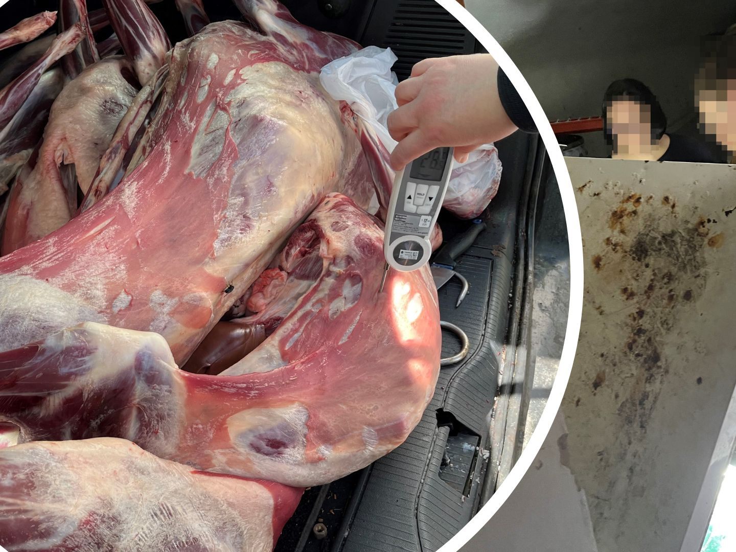 Das Fleisch wurde ordnungsgemäß entsorgt. Das Fleisch wurde ordnungsgemäß entsorgt.