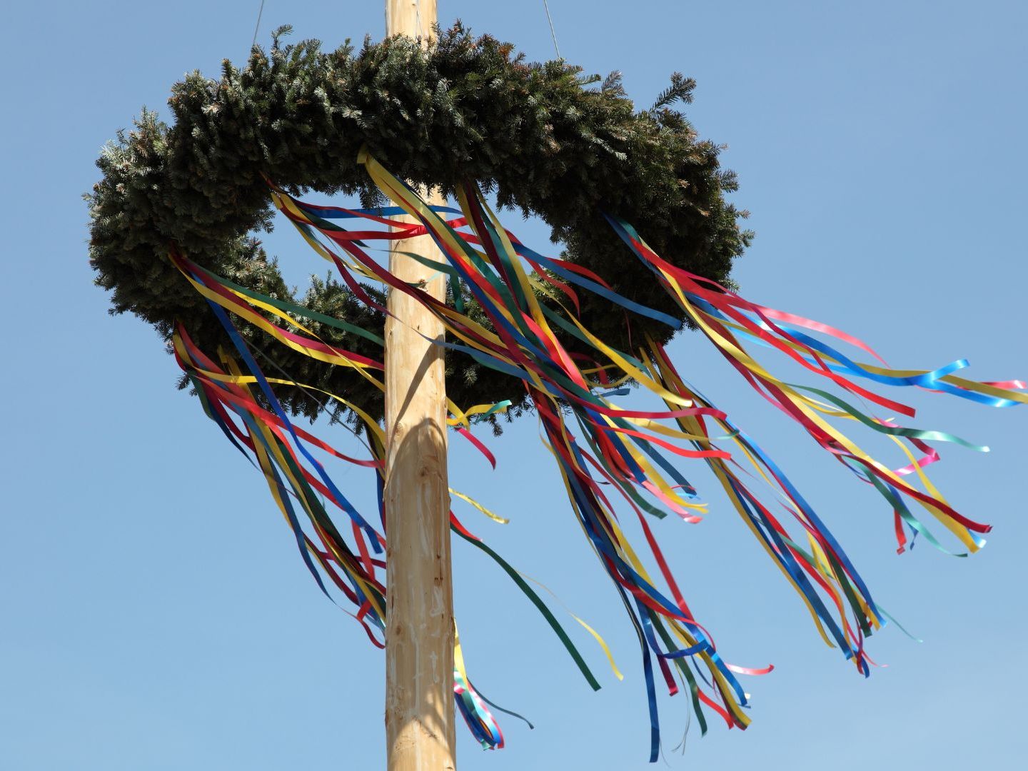 Maibaum-Aufstellen im Prater - gelebtes Brauchtum mitten in der Stadt. Maibaum-Aufstellen im Prater - gelebtes Brauchtum mitten in der Stadt.