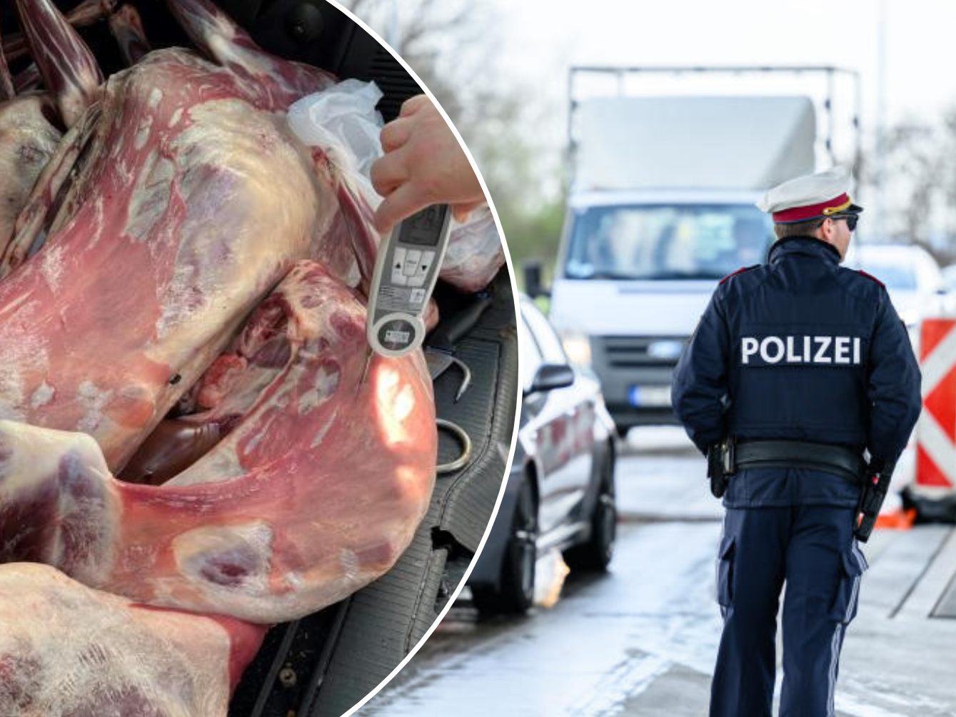 Ekel-Alarm: Die Polizei machte in Wien einen grausigen Fund. Ekel-Alarm: Die Polizei machte in Wien einen grausigen Fund.