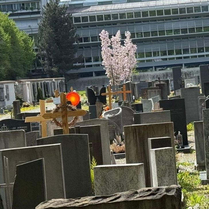 Vandalismus bei Grabschmuck ist ein ärgerliches Problem.