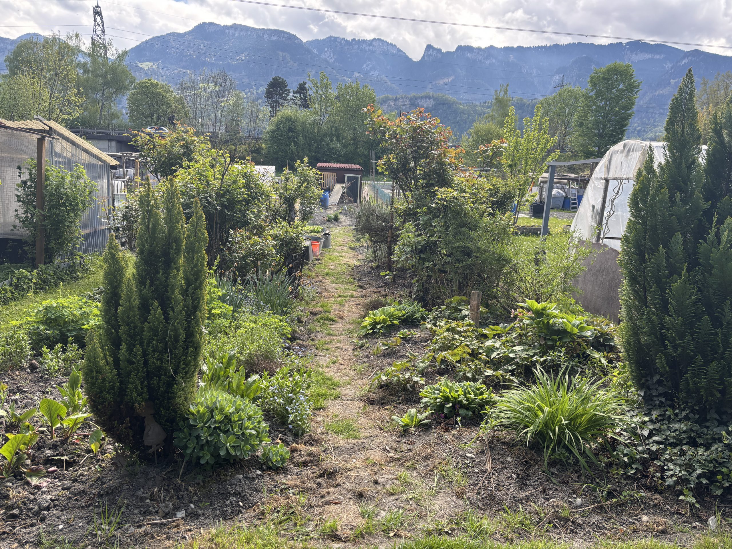 Schrebergarten Hohenems und Lerchenau