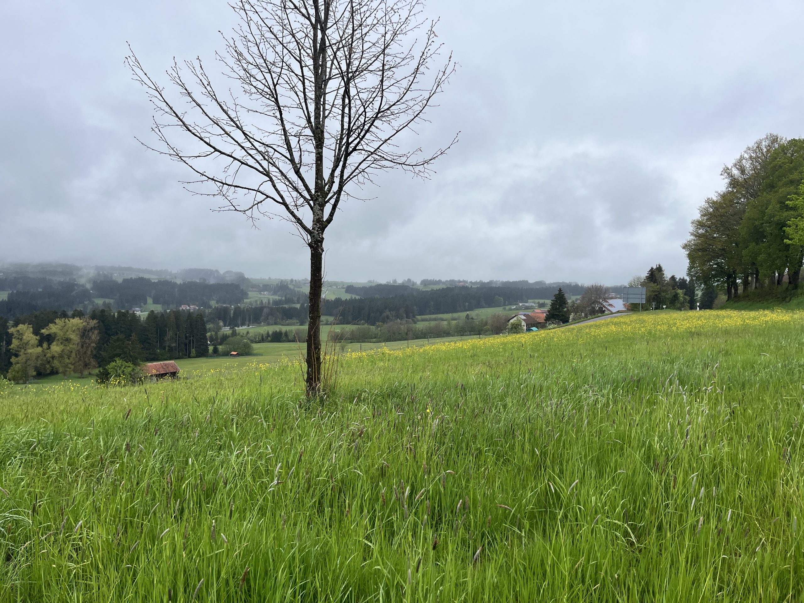 Weiler-Simmerberg. Ein beschauliches Örtchen im Allgäu.