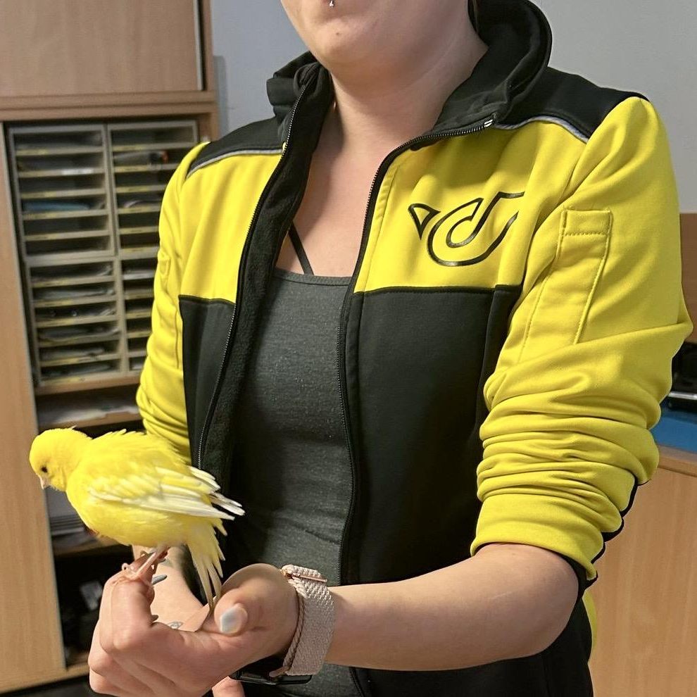Kanarienvogel "Tweety" stattete der Post-Belegschaft einen Besuch ab.