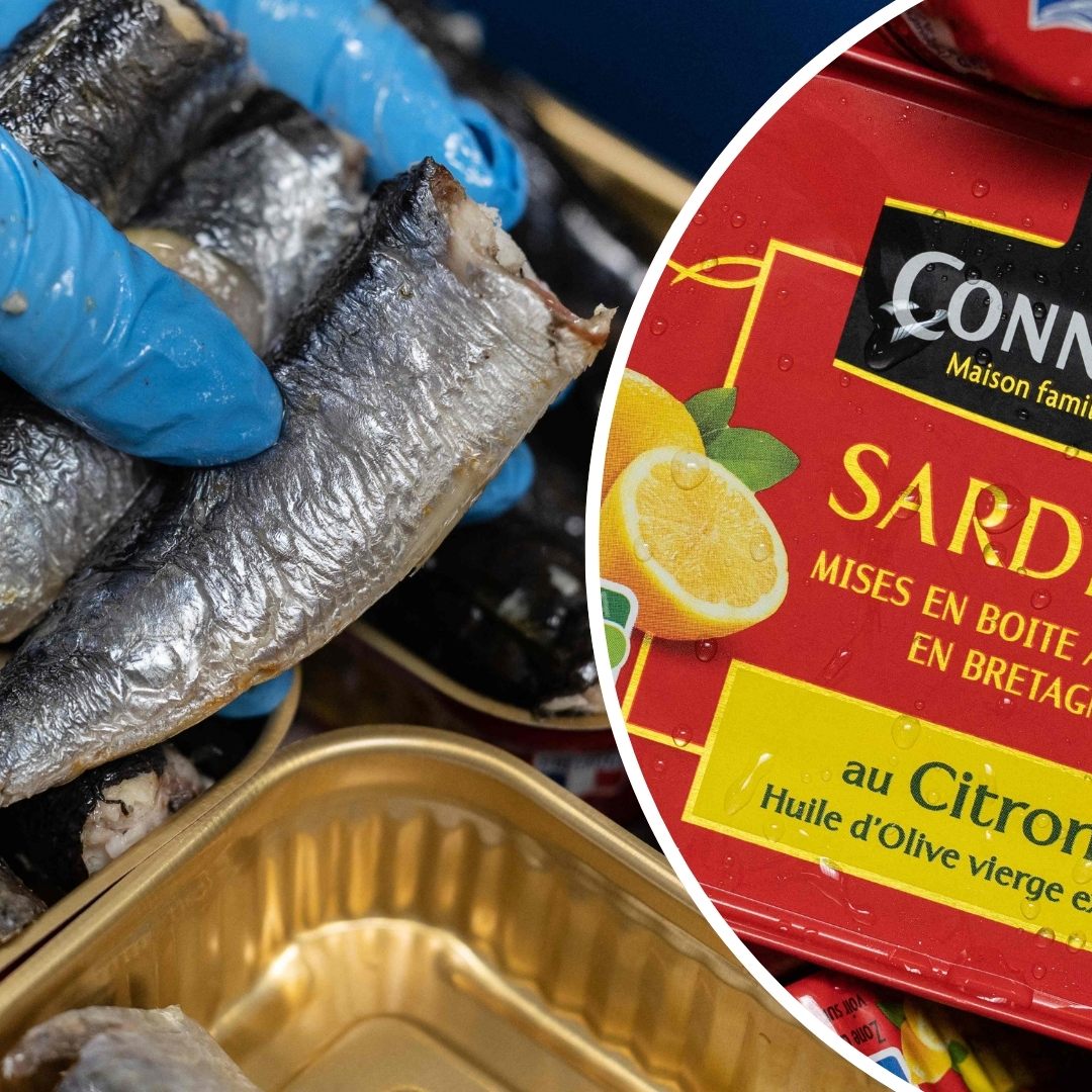 Sardinen aus der Dose - Gesünder als man dem unterschätzten Fisch gemeinhin zutraut.
