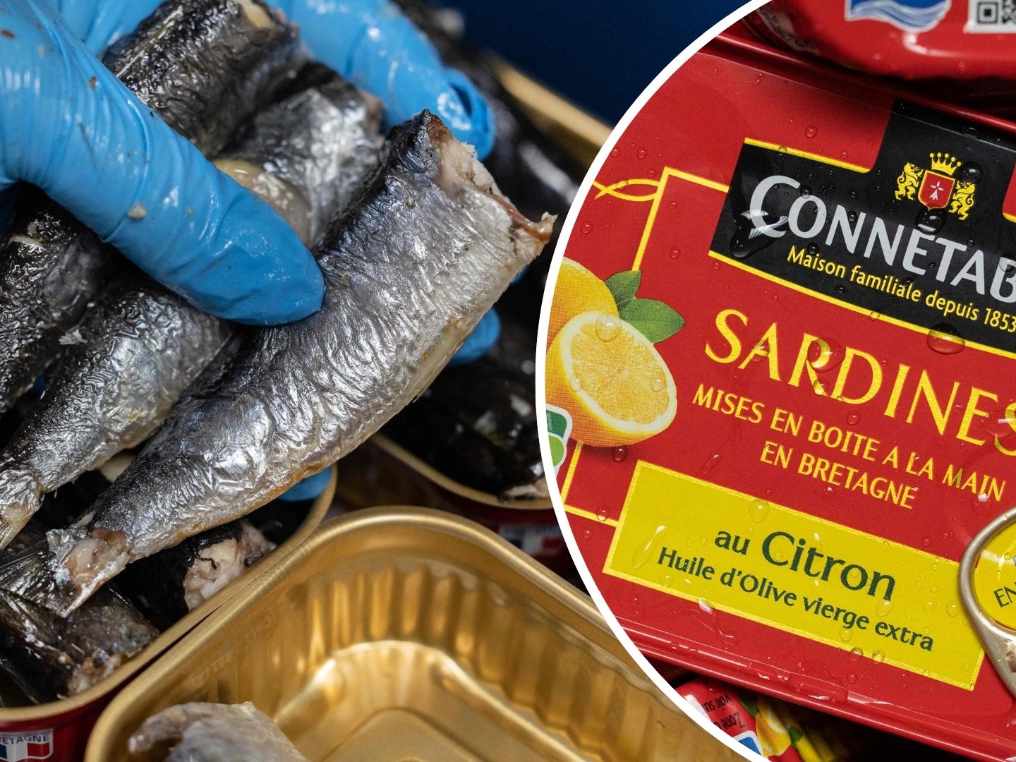 Sardinen aus der Dose - Gesünder als man dem unterschätzten Fisch gemeinhin zutraut.