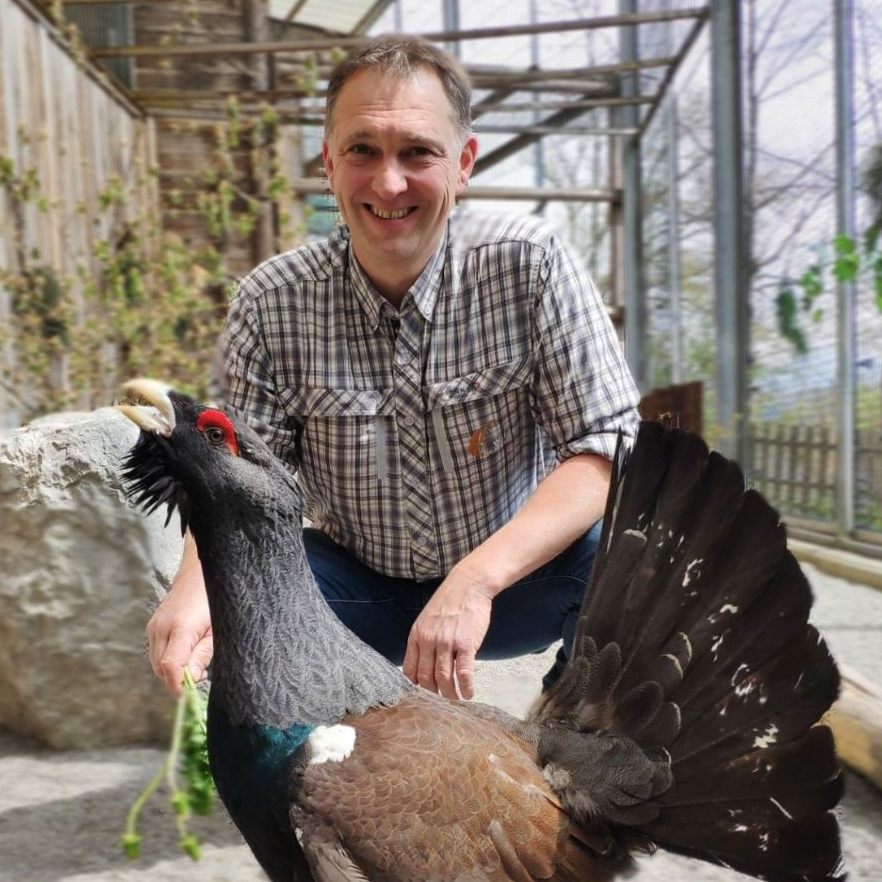 Maul- und Klauenseuche: Österreich schließt Grenzen und sperrt Zoos.