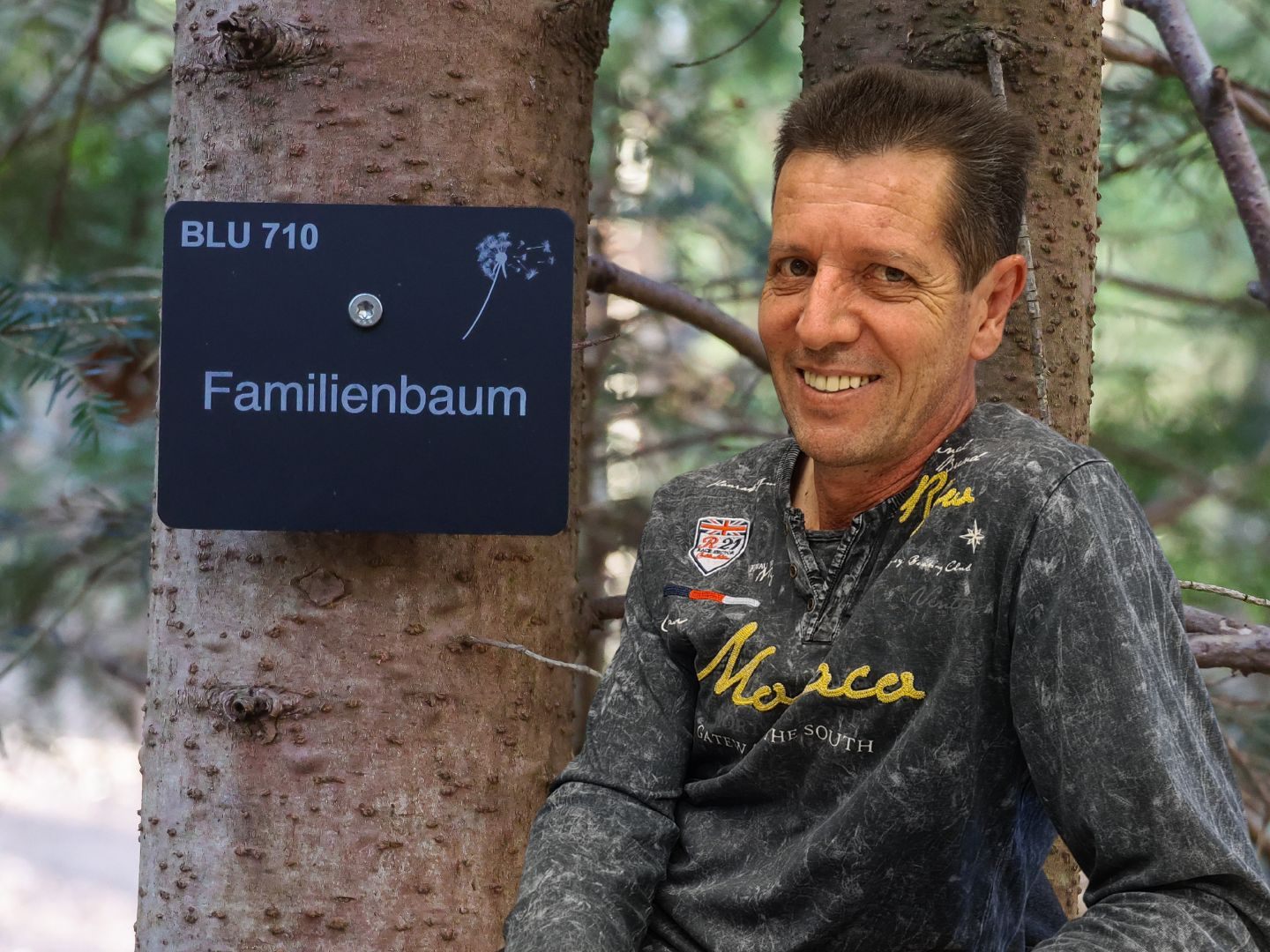 Viele Menschen können sich eine letzte Ruhestätte unter Bäumen vorstellen.