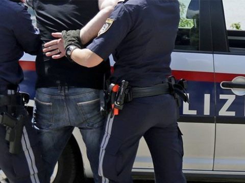 Fünf Drogendealer wurden in Niederösterreich und der Steiermark ausgeforscht und festgenommen.