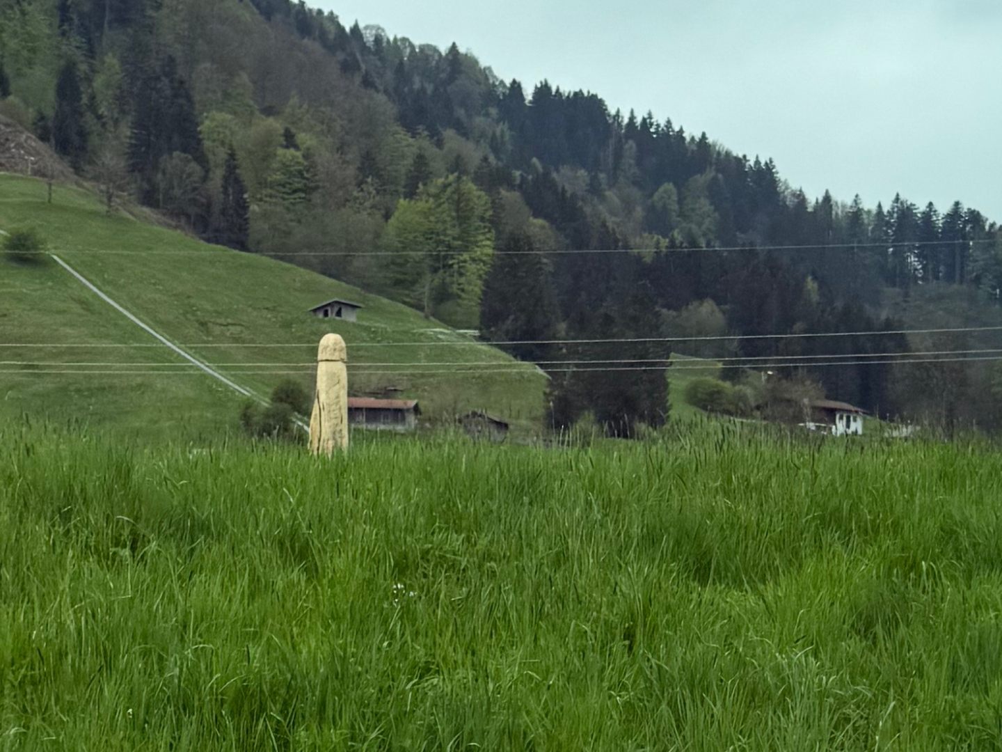 Auch in Oberstaufen tauchte die Holz-Skulptur auf.