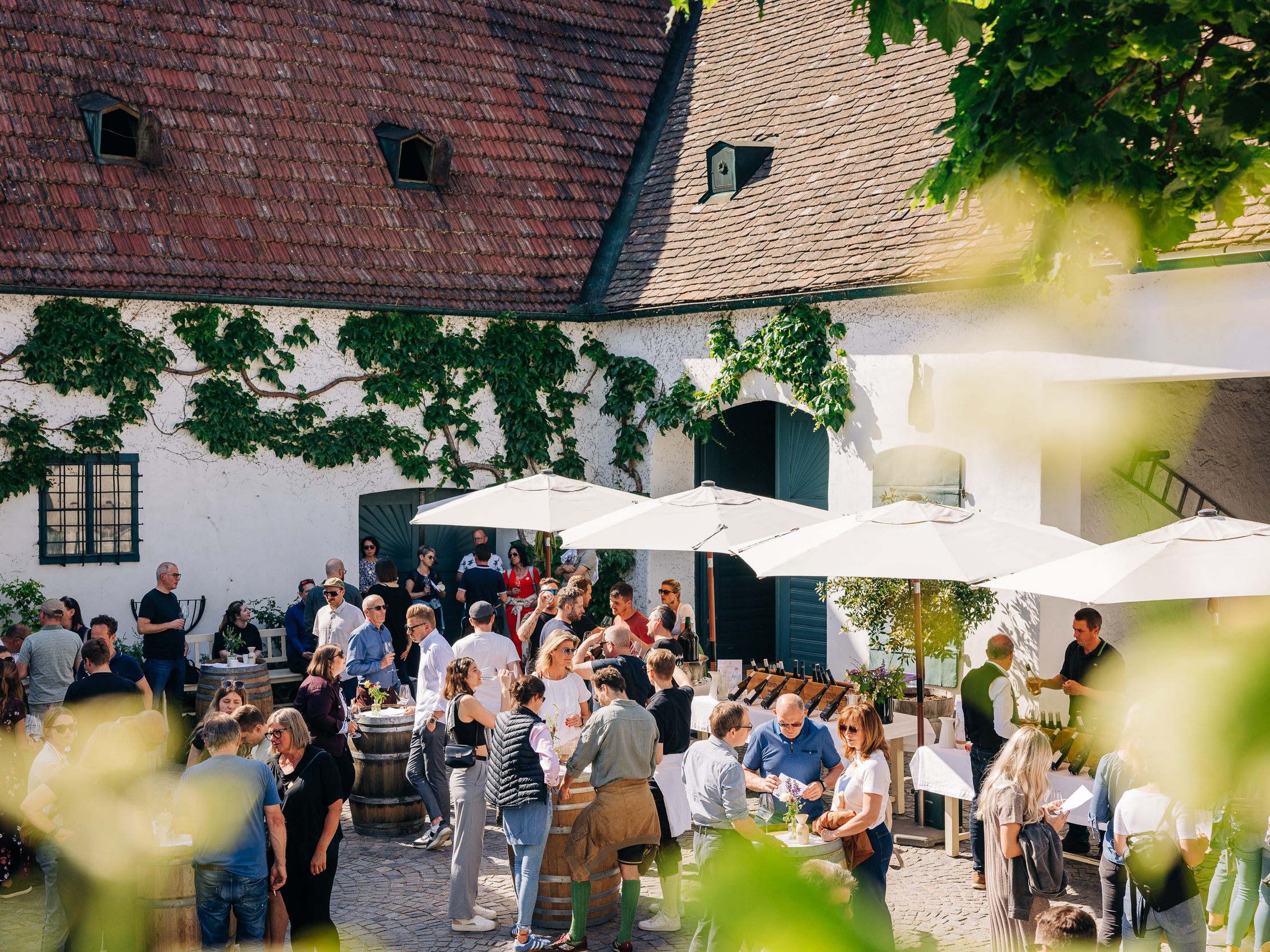 Erstmals findet die Tour de Vin an fünf Terminen statt.