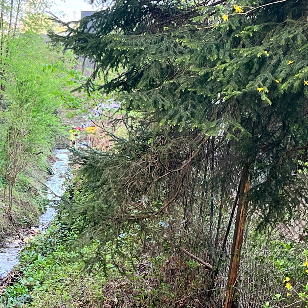 Am Mittwochvormittag gelangte in Hohenems Kunststoffgranulat in einen Bach.
