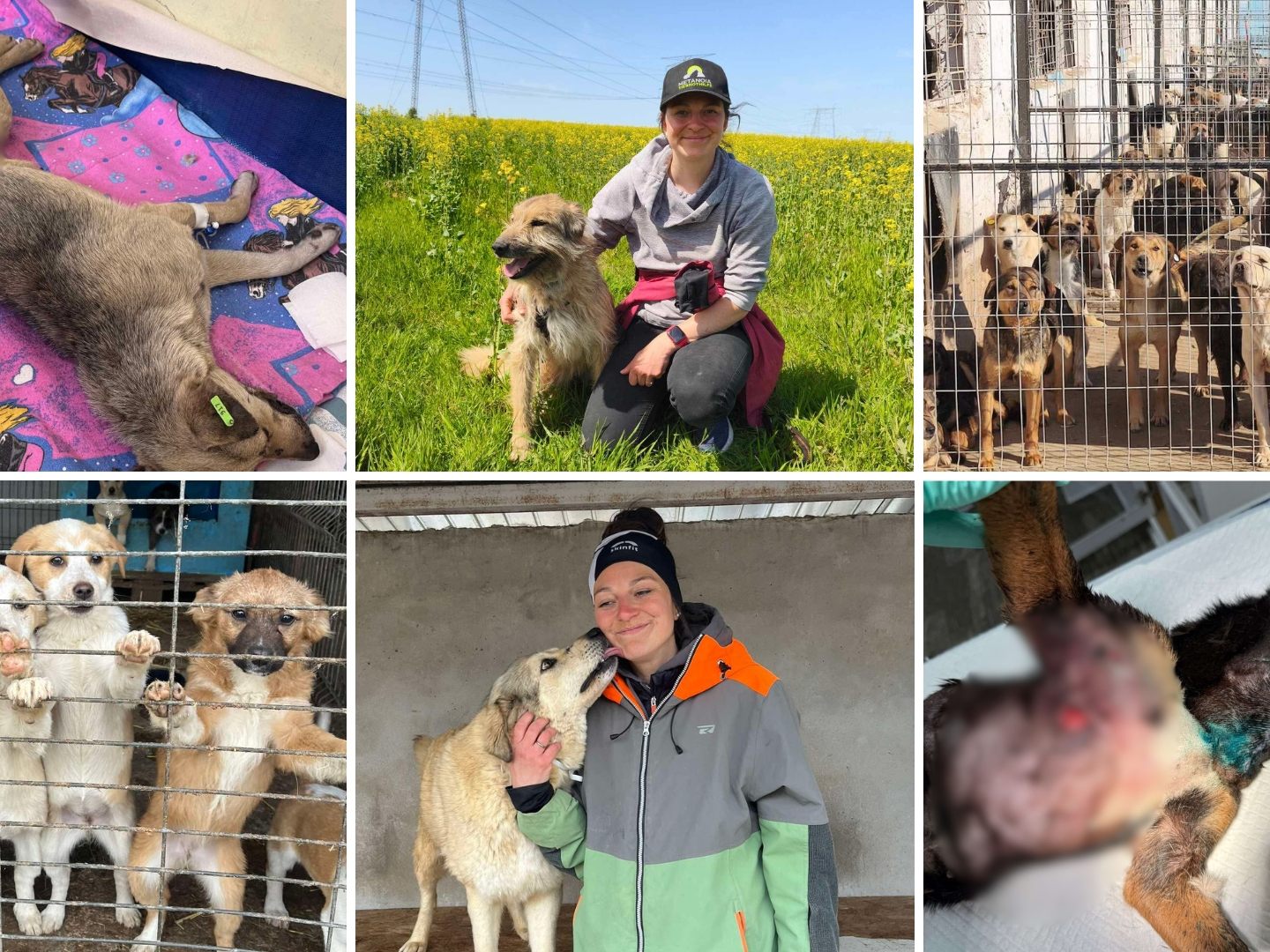 Laura Guderjahn über die emotionale Arbeit im Tierschutz.