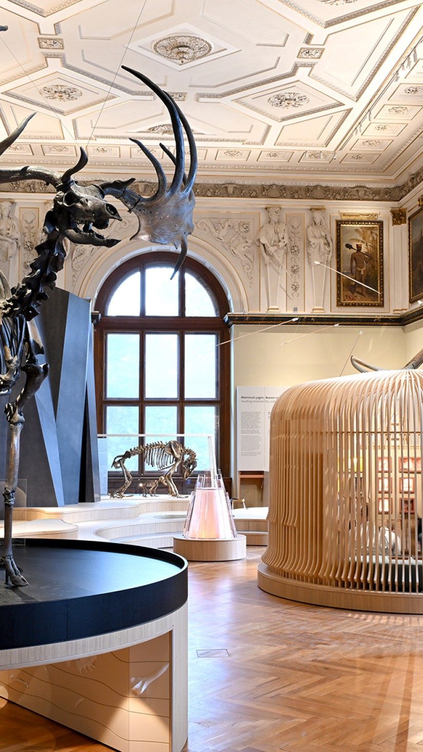 "Kinder in der Eiszeit": Im Naturhistorischen Museum in Wien gibt es eine neue Dauerausstellung.