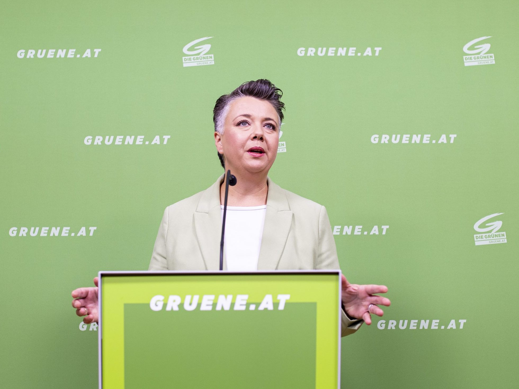 Die Grünen kritisieren die Kürzungen für Volksgruppen.