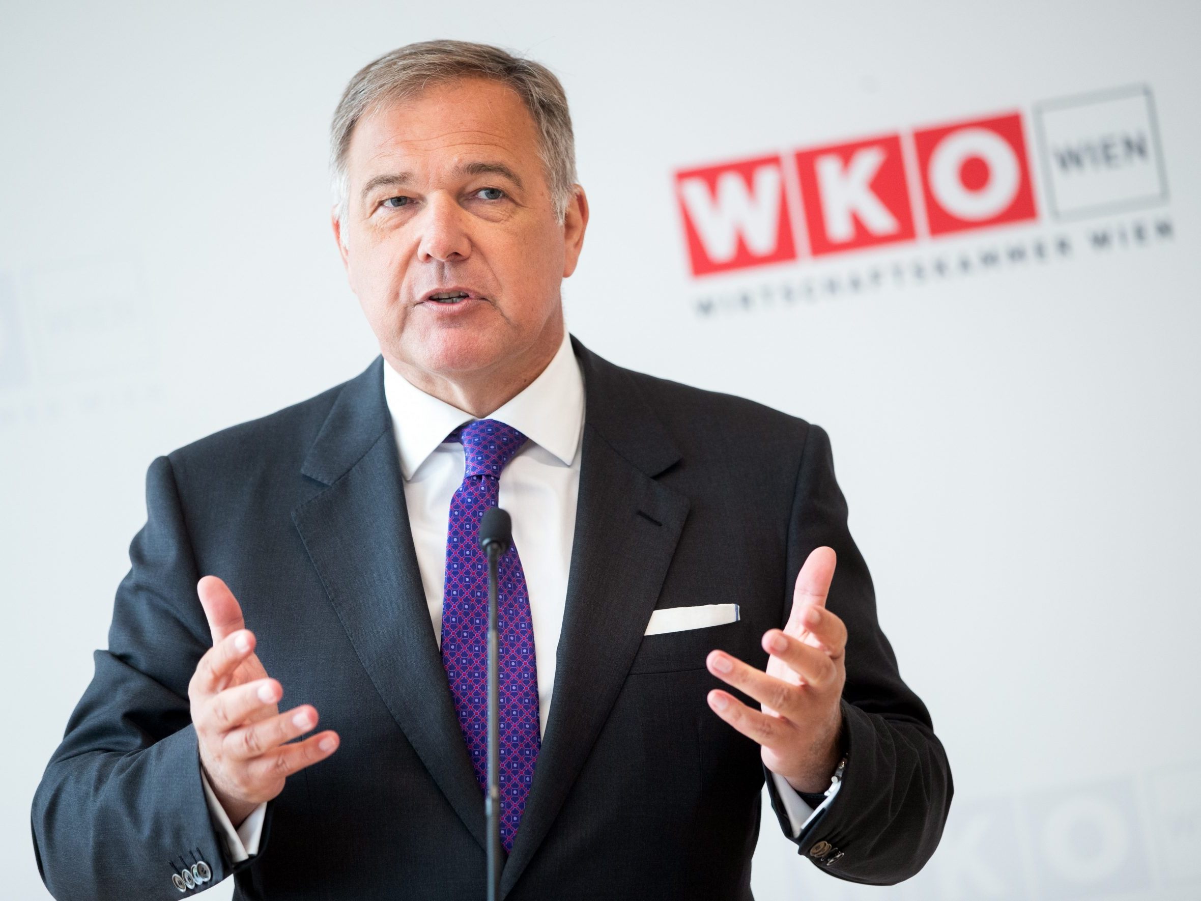 Die WKW will mit der Stadt Wien zwei Schulen gründen. Die WKW will mit der Stadt Wien zwei Schulen gründen.
