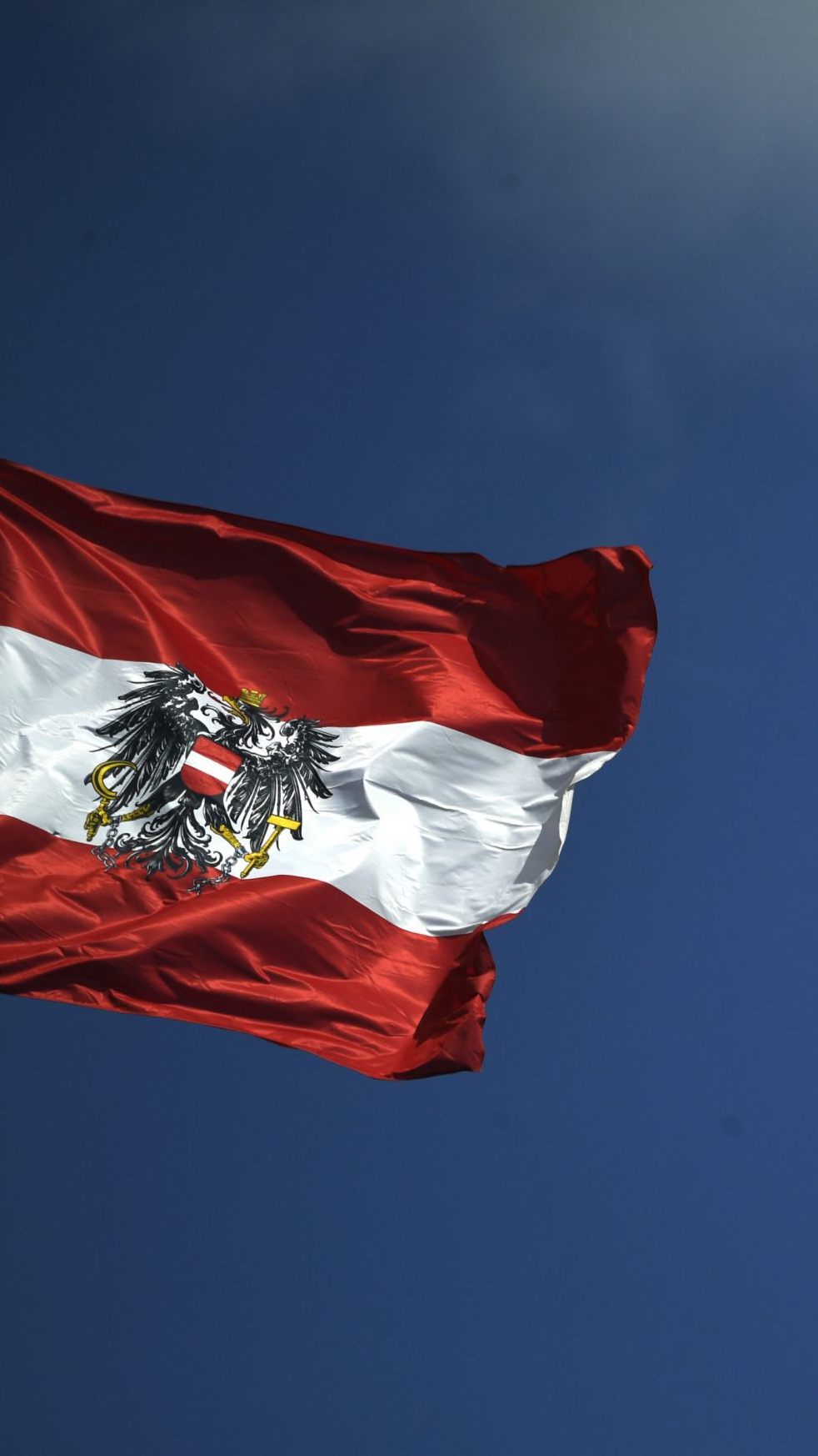 Plus bei Auslandsinvestitionen in Österreich.