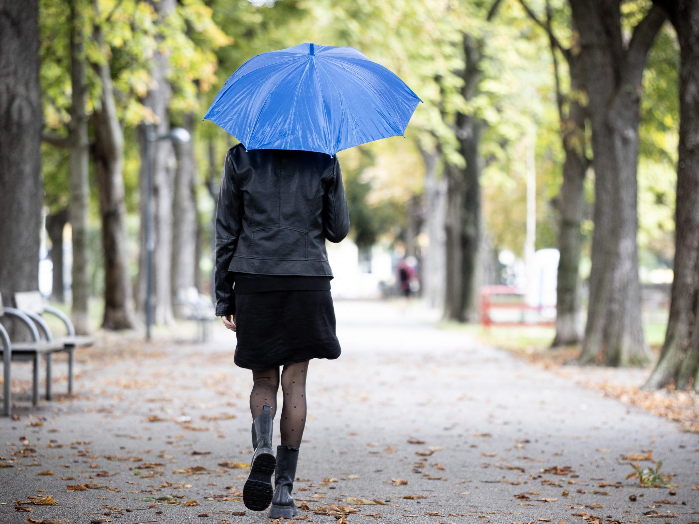 Diese Woche sollte man immer einen Regenschirm dabei haben. Diese Woche sollte man immer einen Regenschirm dabei haben.