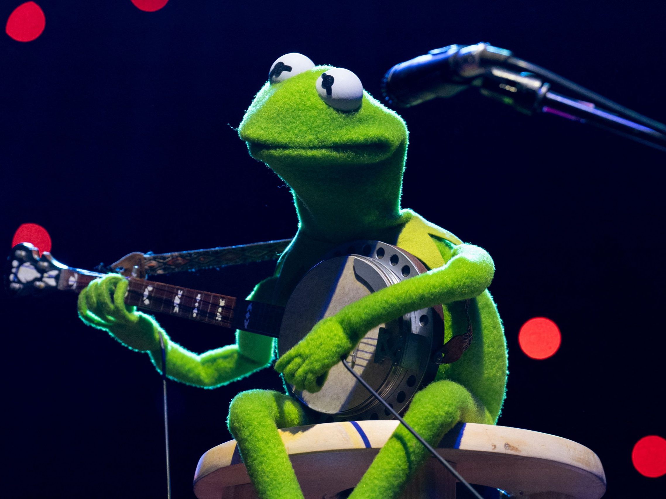 Die Handpuppe wurde 1955 von Jim Henson erschaffen.