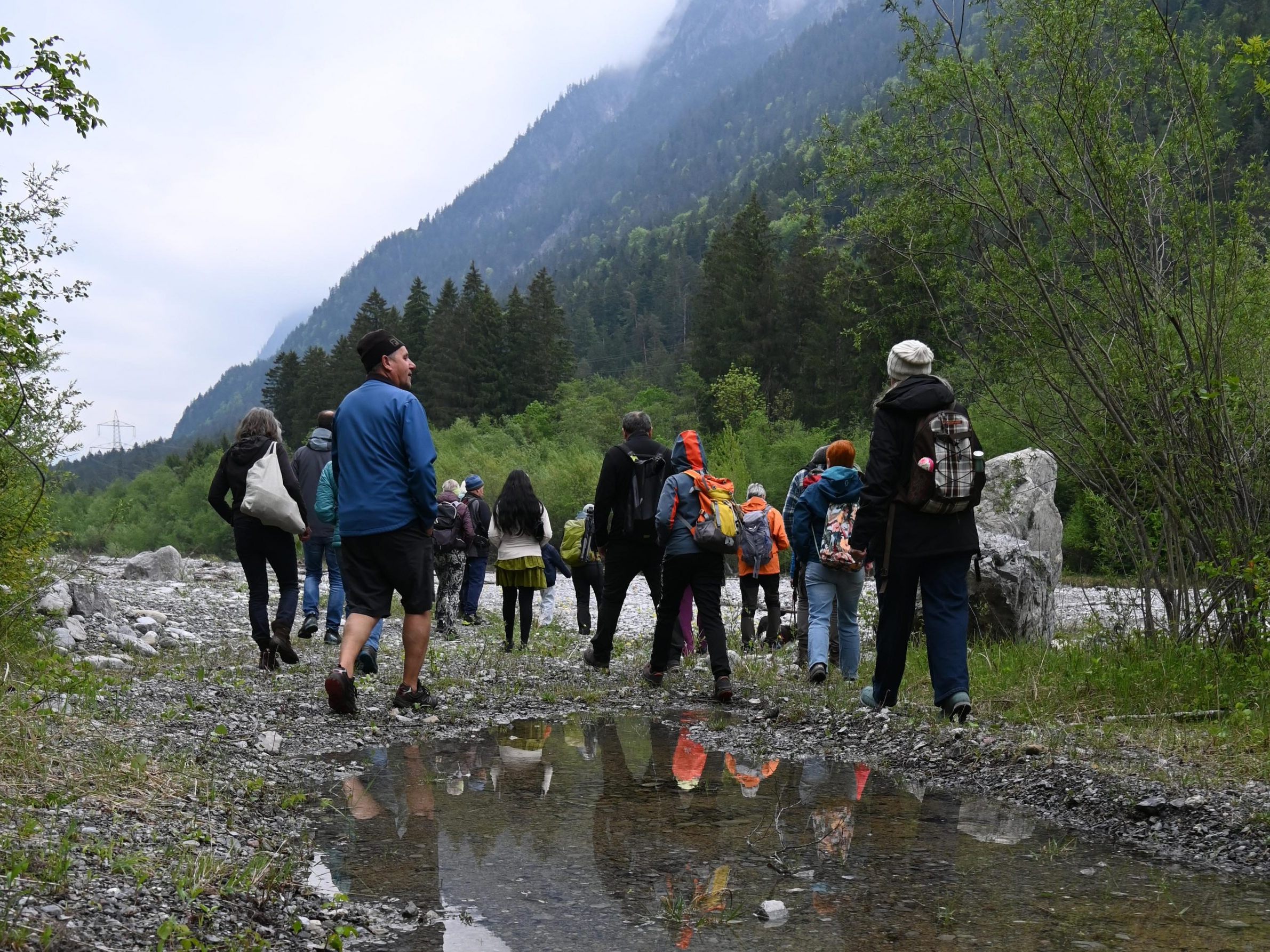 Alfenzexkursion - Zahlreiche Interessierte konnten gemeinsam mit der Biologin Johanna Kronberger die Natur rundum die Alfenzauen bestaunen Alfenzexkursion - Zahlreiche Interessierte konnten gemeinsam mit der Biologin Johanna Kronberger die Natur rundum die Alfenzauen bestaunen