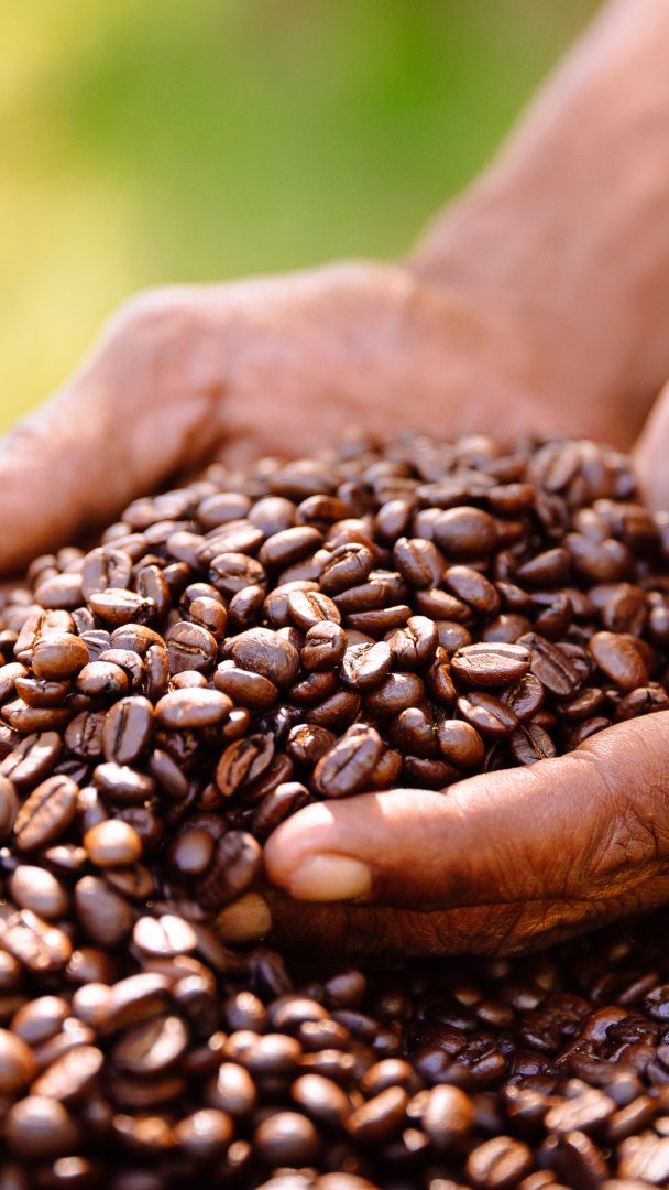 Der Fairtrade-Umsatz ist in Österreich trotz Rezession 2024 gestiegen.