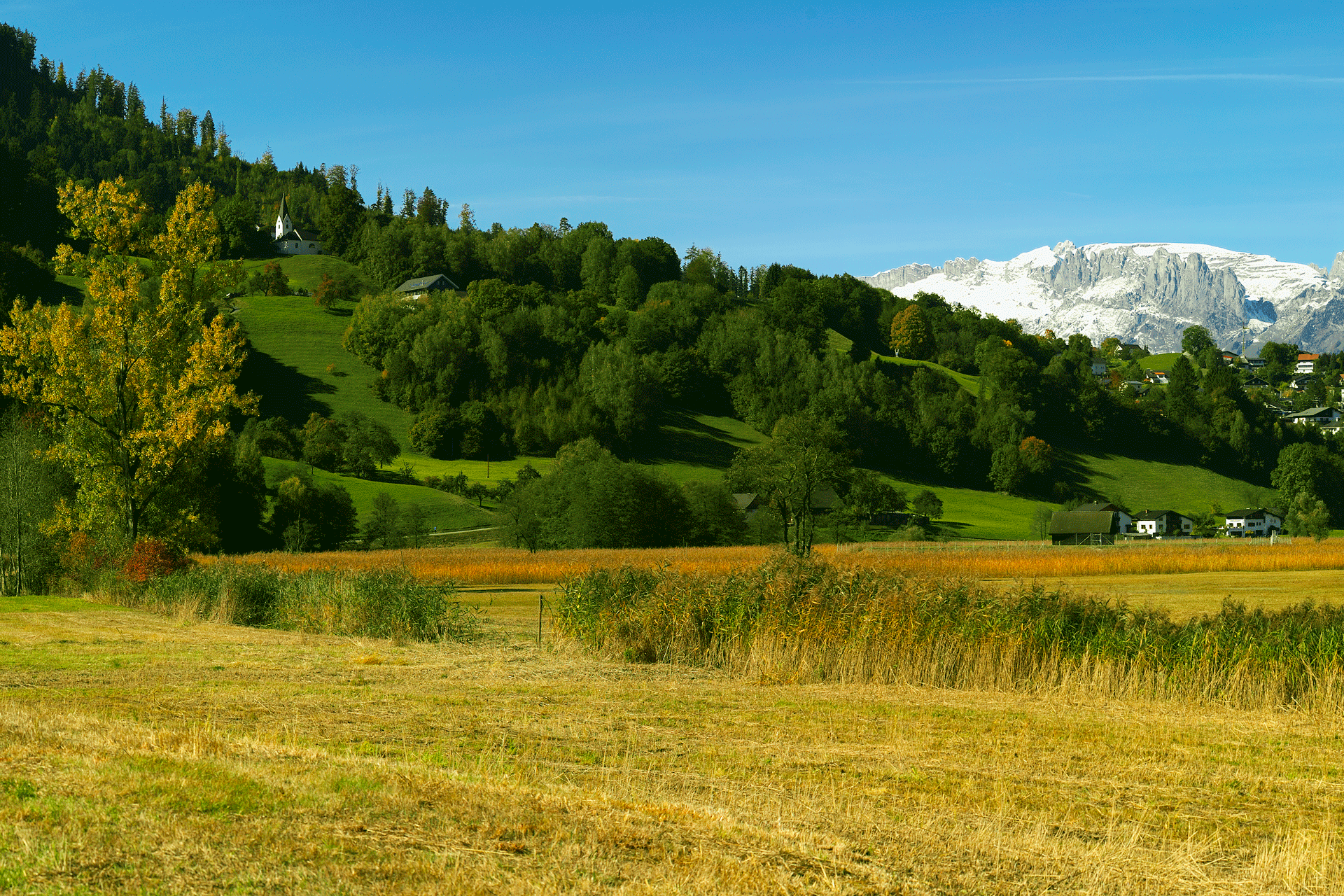 Frastanzer Ried Frastanzer Ried
