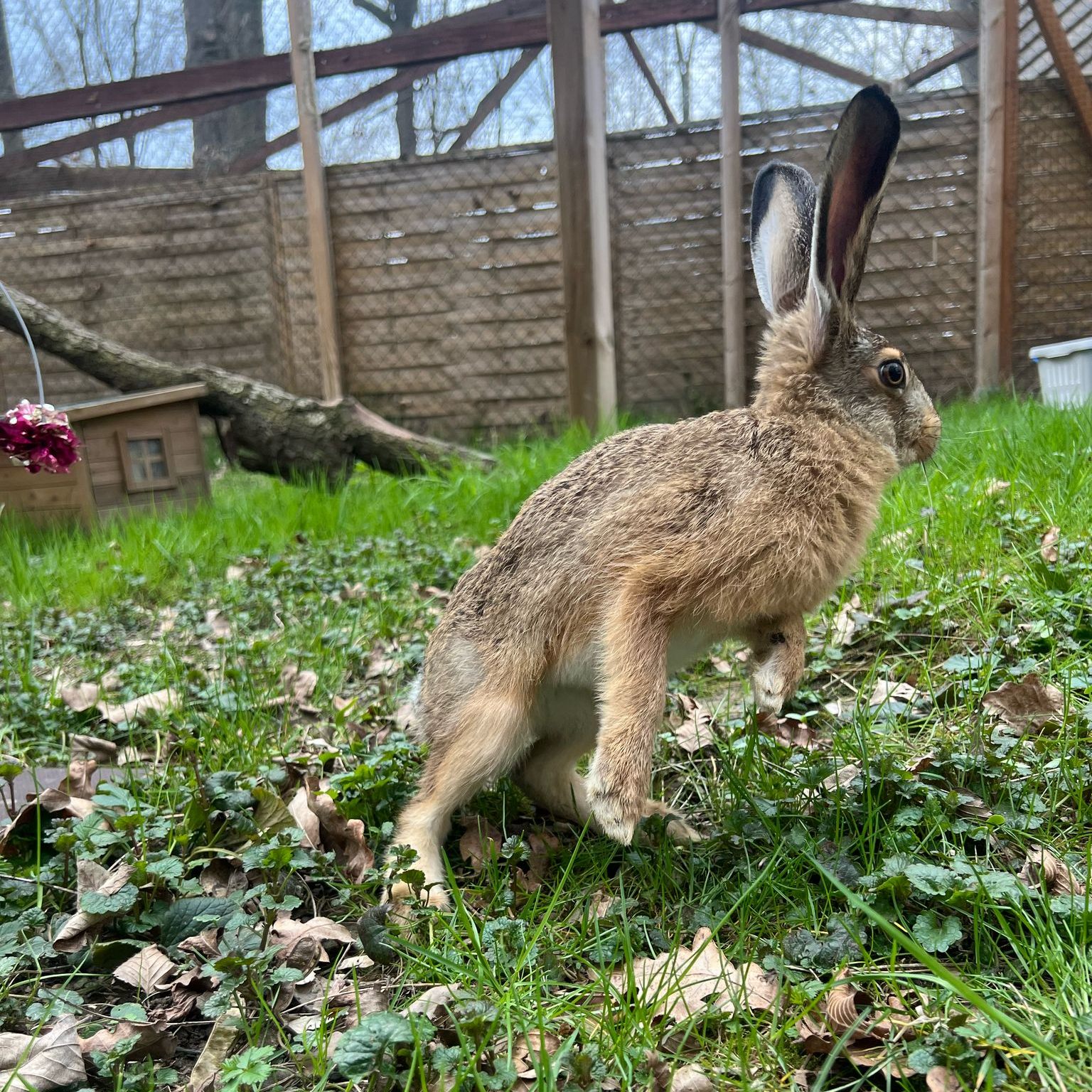 Die Rettung von Simon war ein voller Erfolg.