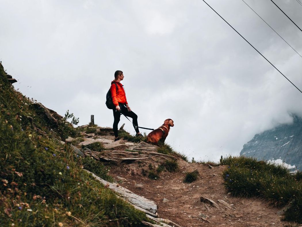 Eine Frau stürzte bei einer Wanderung ab, weil sie ihren Hund retten wollte. Eine Frau stürzte bei einer Wanderung ab, weil sie ihren Hund retten wollte.