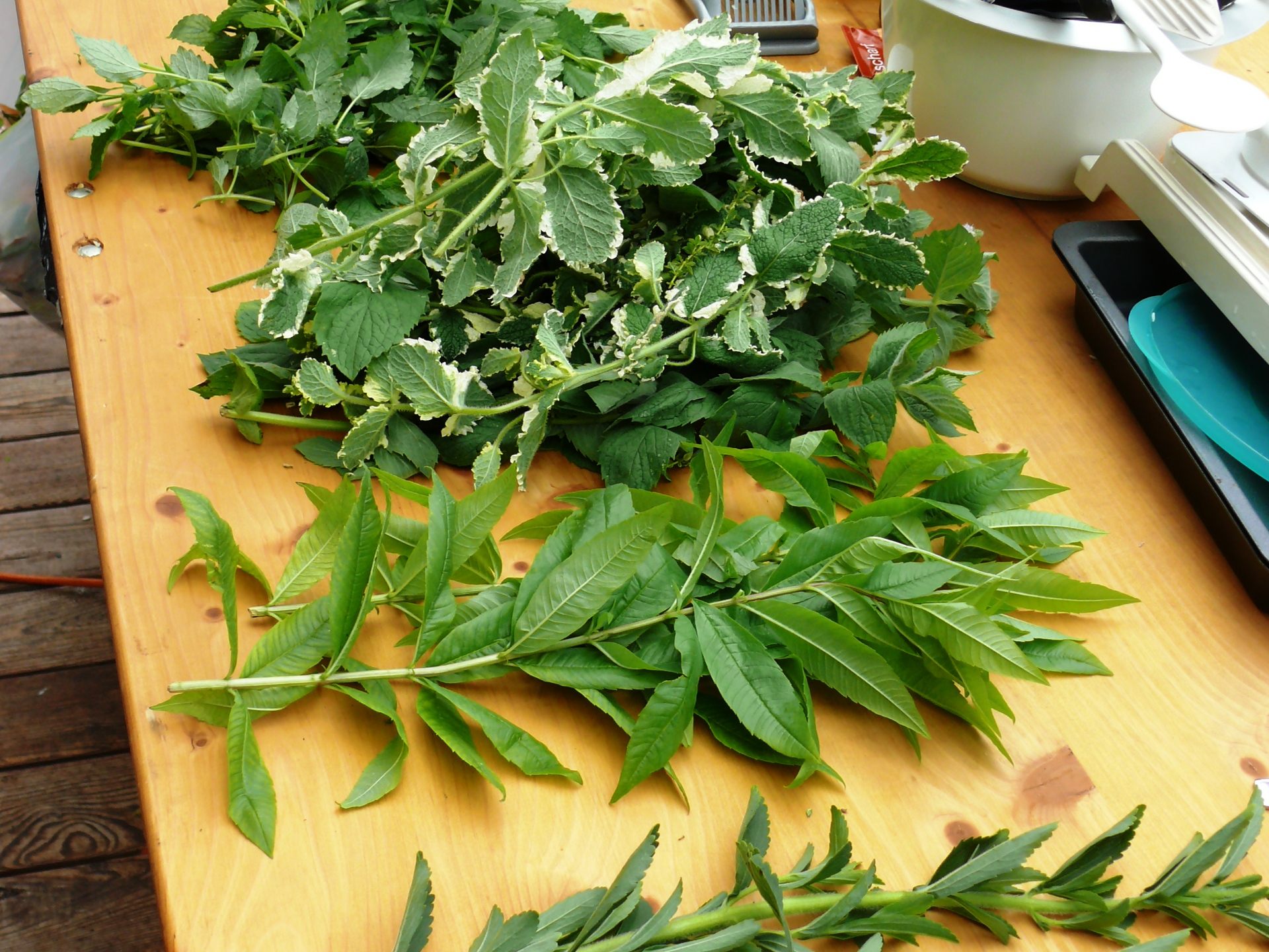 Kräuter für die Küche Kräuter für die Küche