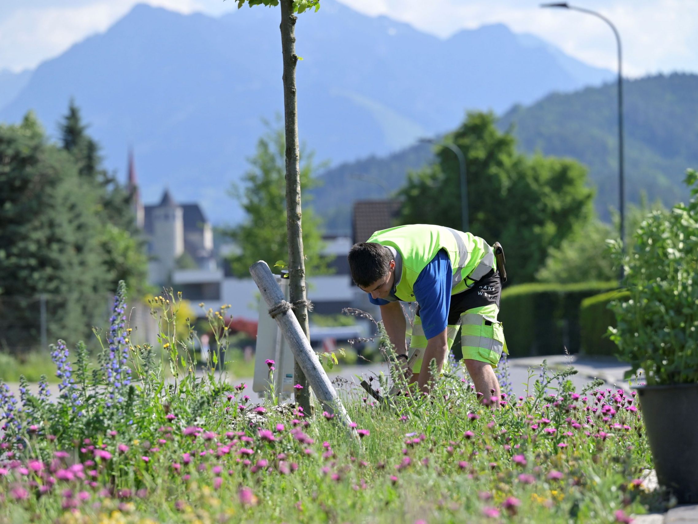 Naturnahe Begrünung Rankweil. Naturnahe Begrünung Rankweil.