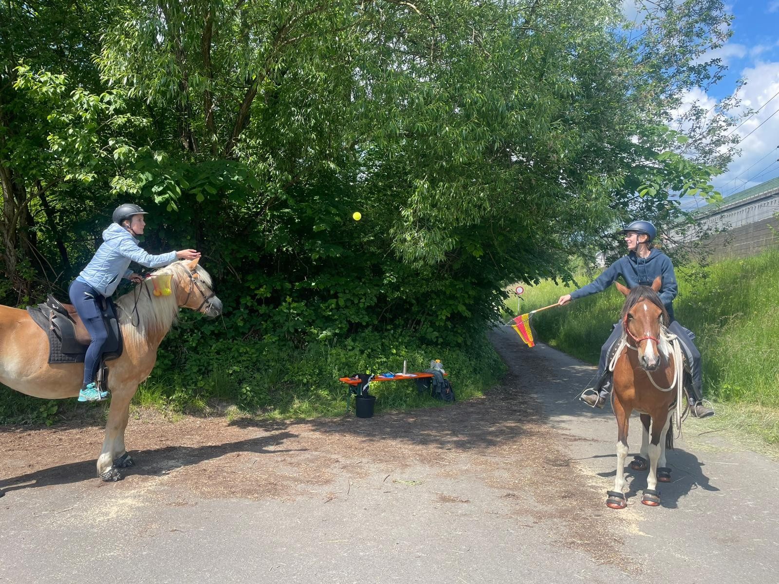 Auf dem Pferd sitzend musste ein vom Partner/in zugeworfenem Ball „hoch zu Roß“ eingefangen werden. Auf dem Pferd sitzend musste ein vom Partner/in zugeworfenem Ball „hoch zu Roß“ eingefangen werden.