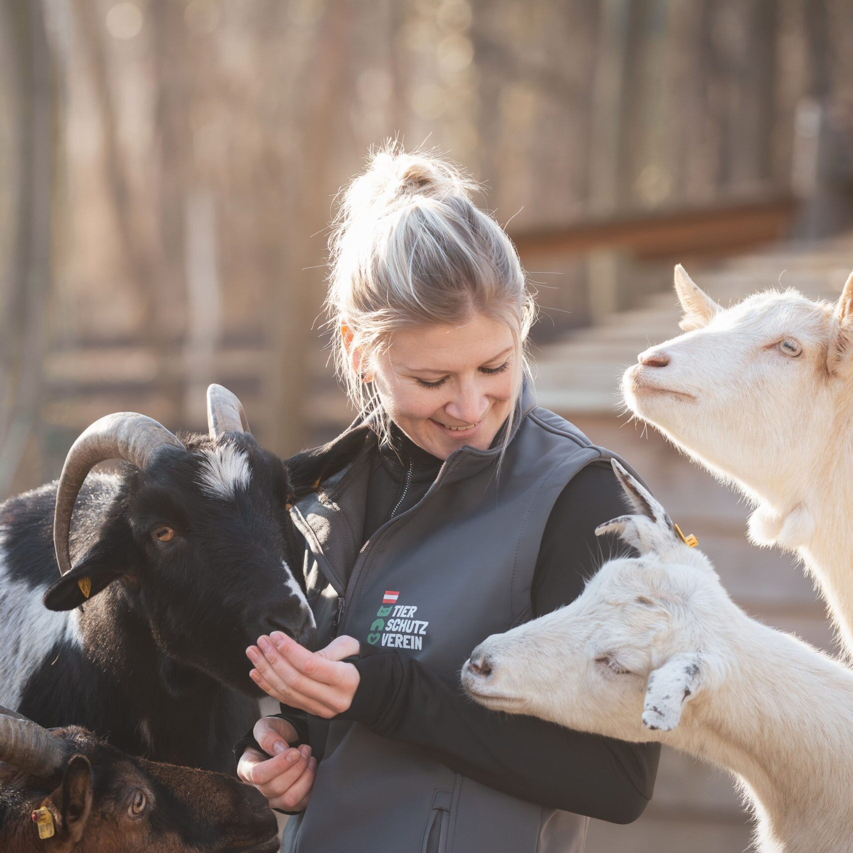 Programm für Groß und Klein beim Sommerfest am Assisi-Hof in Stockerau.