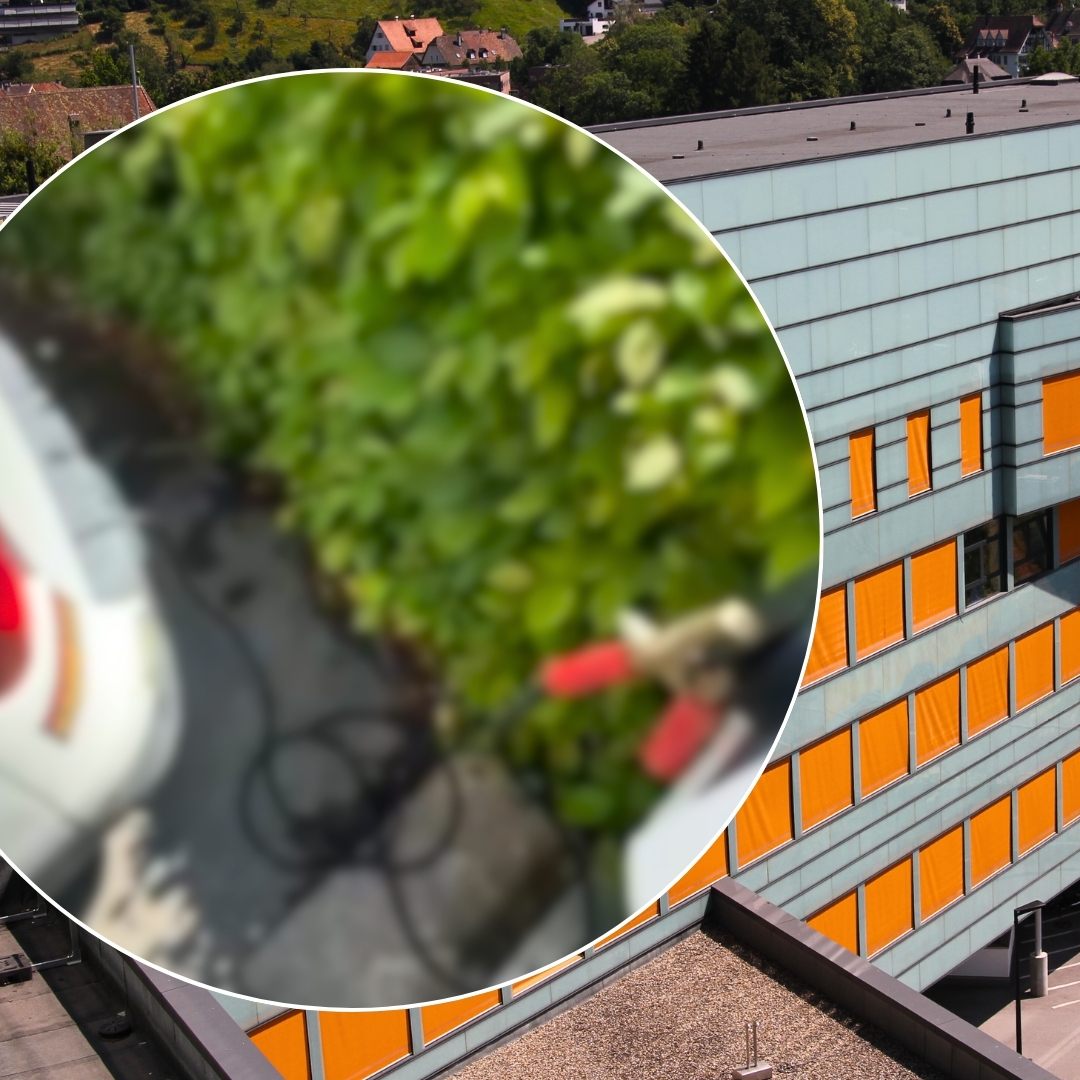 Strobel/Rauch/VOL.AT/VN/Canva