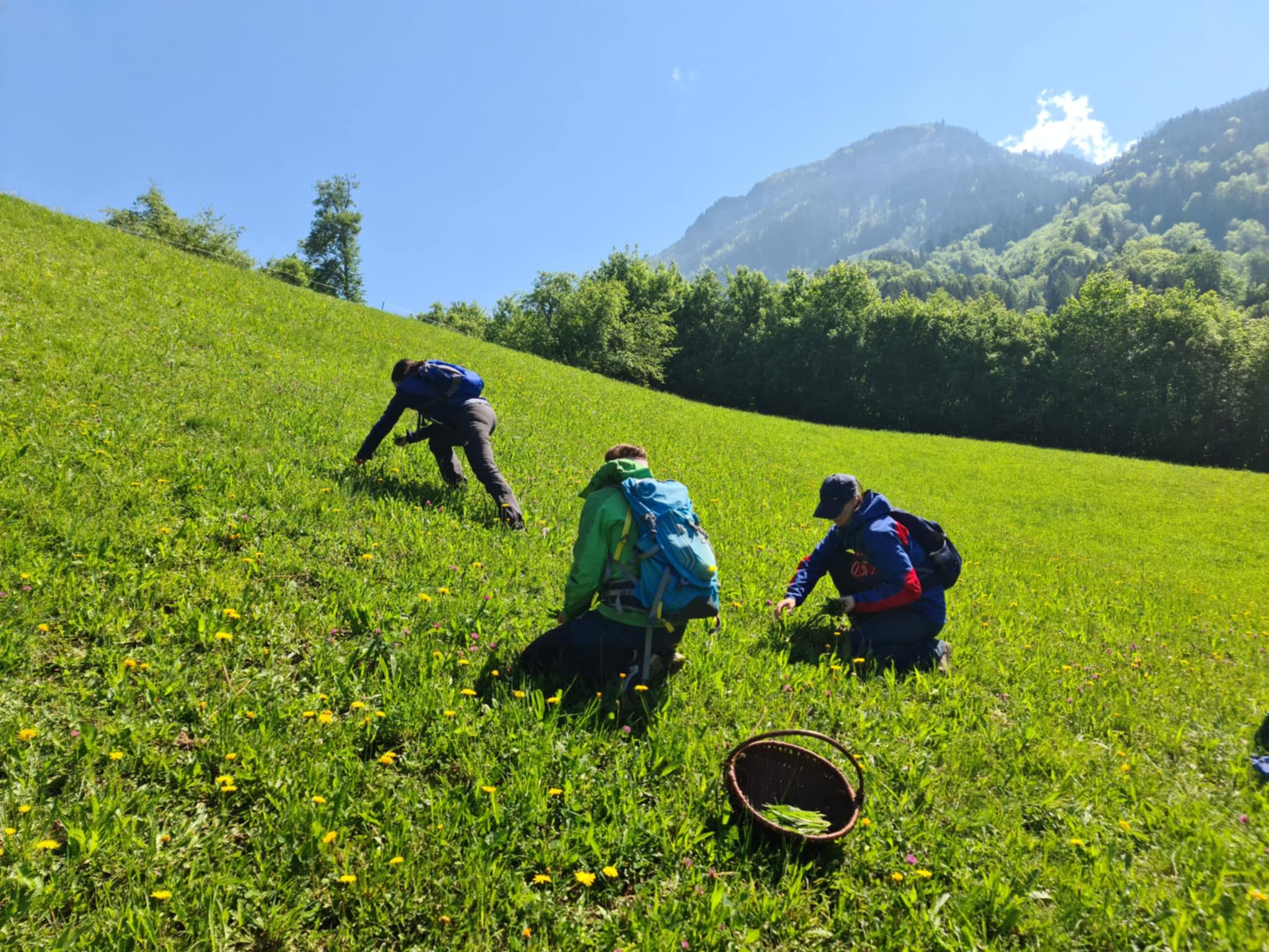 Eindrücke vom Naturworkshop mit Referentin Andrea Fercher, Kräuter- und Wildnispädagogin, Wanderführerin und Kursleiterin im Waldbaden. Eindrücke vom Naturworkshop mit Referentin Andrea Fercher, Kräuter- und Wildnispädagogin, Wanderführerin und Kursleiterin im Waldbaden.