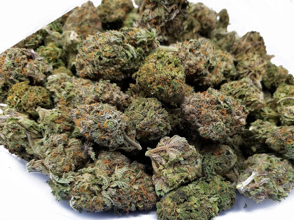Elf Kilo Cannabiskraut wurden am Flughafen Wien sichergestellt. Elf Kilo Cannabiskraut wurden am Flughafen Wien sichergestellt.