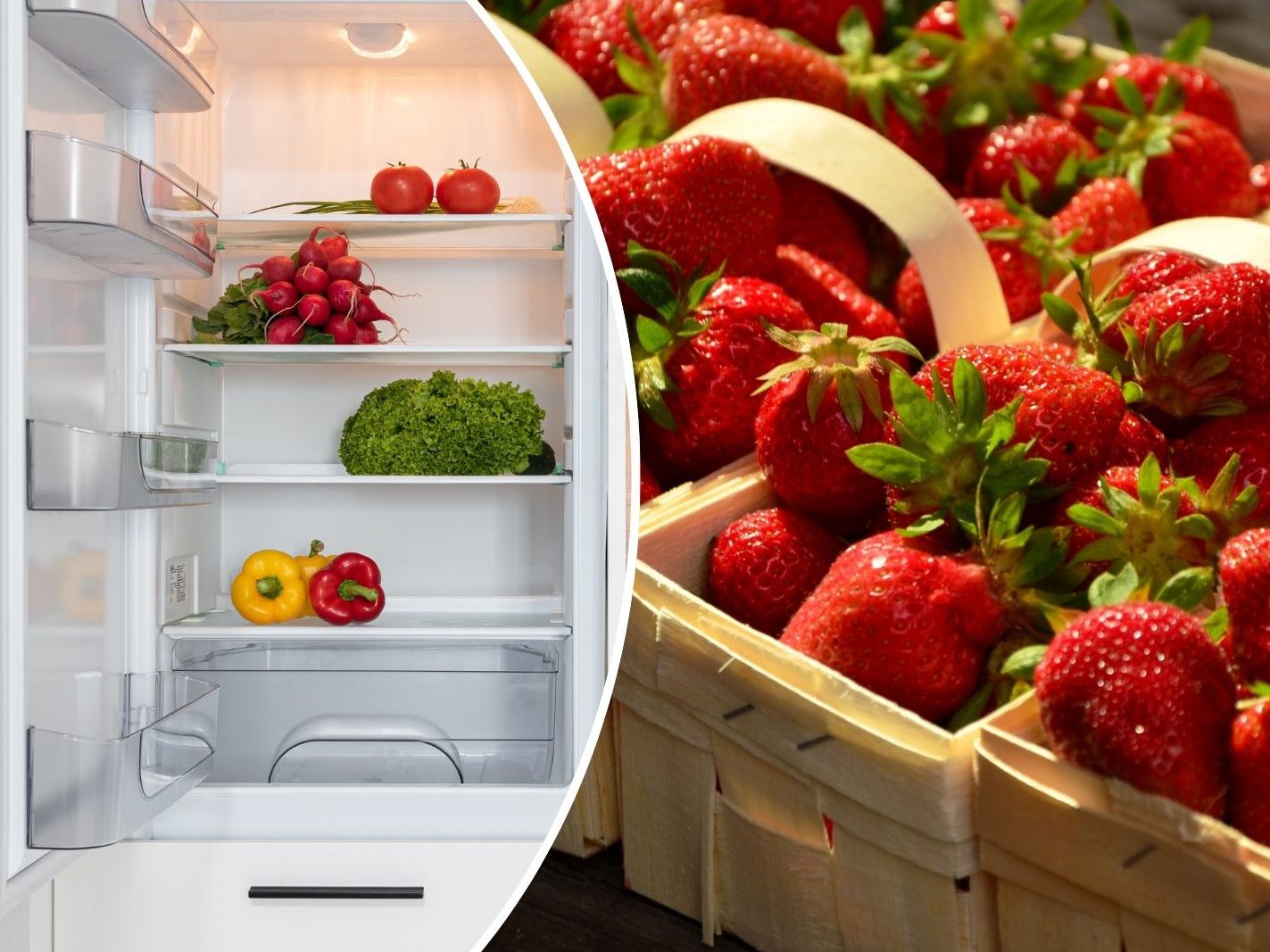 Wer Erdbeeren richtig lagert, kann ihre Haltbarkeit um bis zu zwei Tage verlängern. Wer Erdbeeren richtig lagert, kann ihre Haltbarkeit um bis zu zwei Tage verlängern.